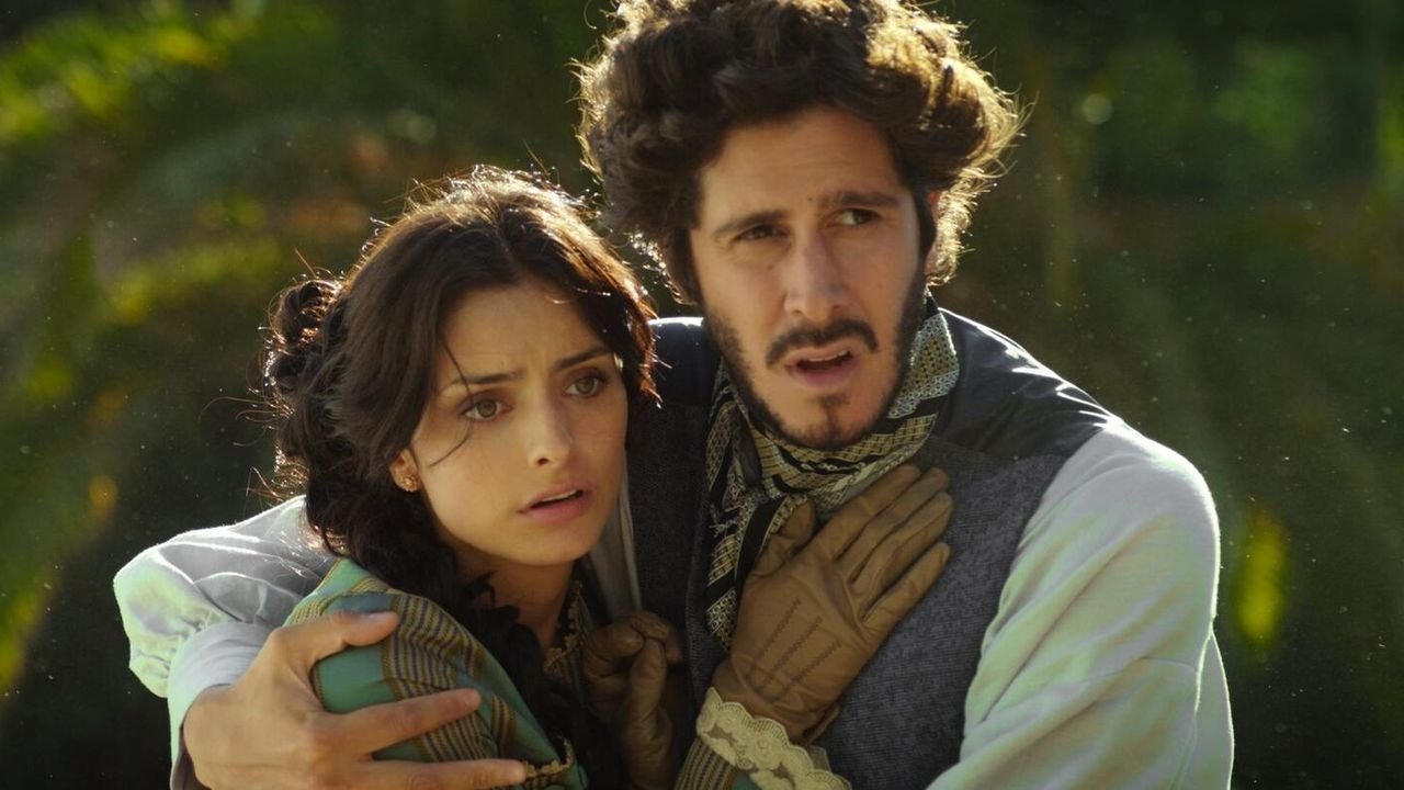 Backdrop for The Vineyard