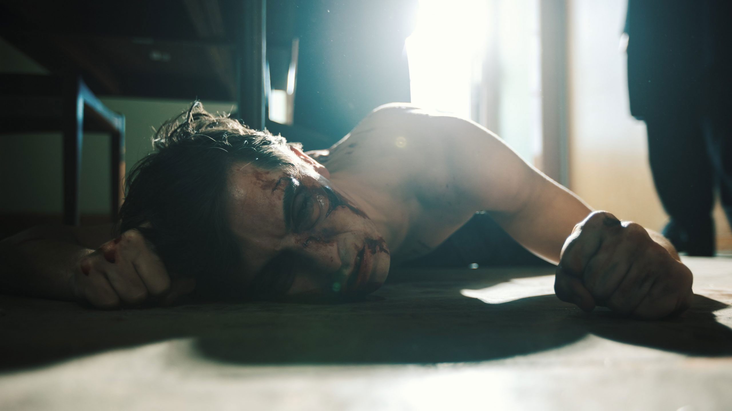 Backdrop for Camarada Cunhal