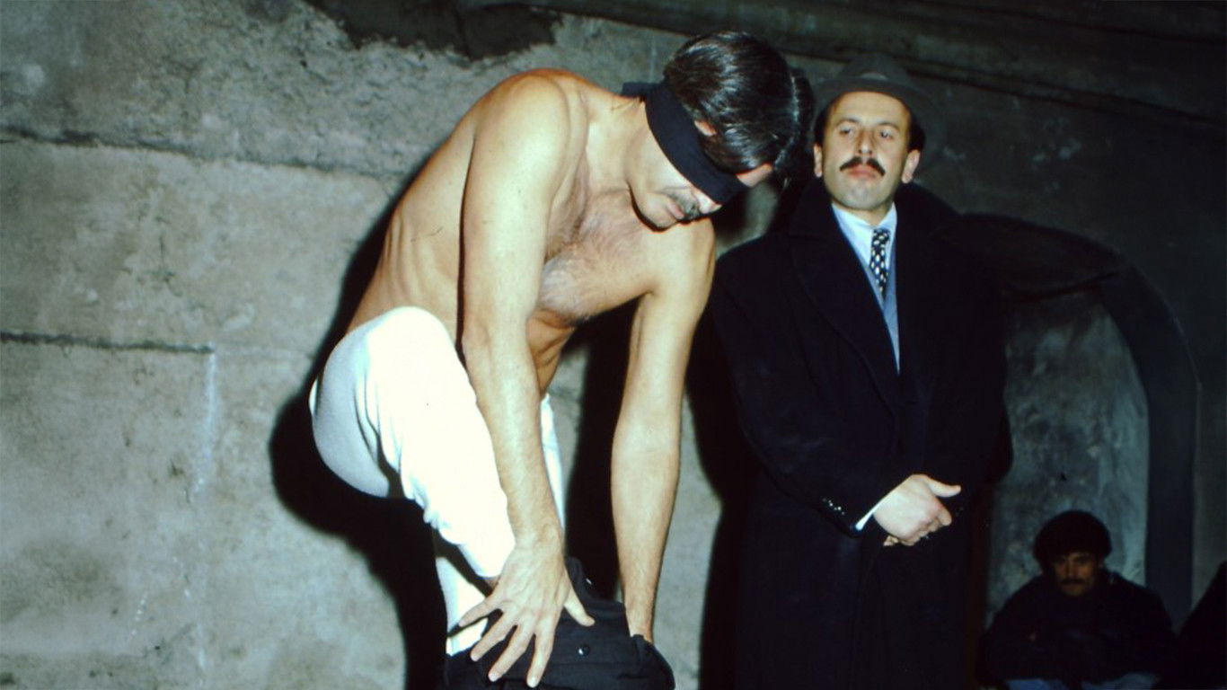 Backdrop for Blackout Night