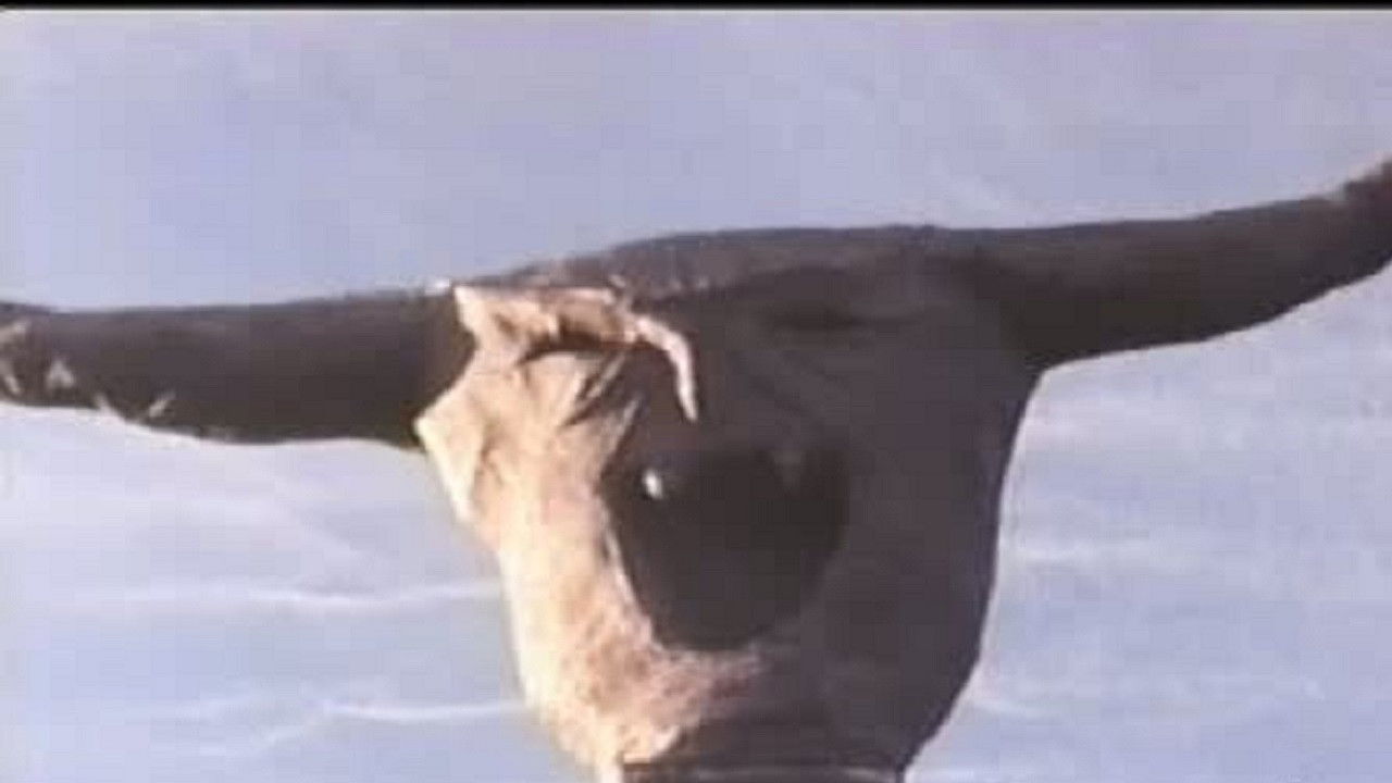 Backdrop for The Final Sacrifice