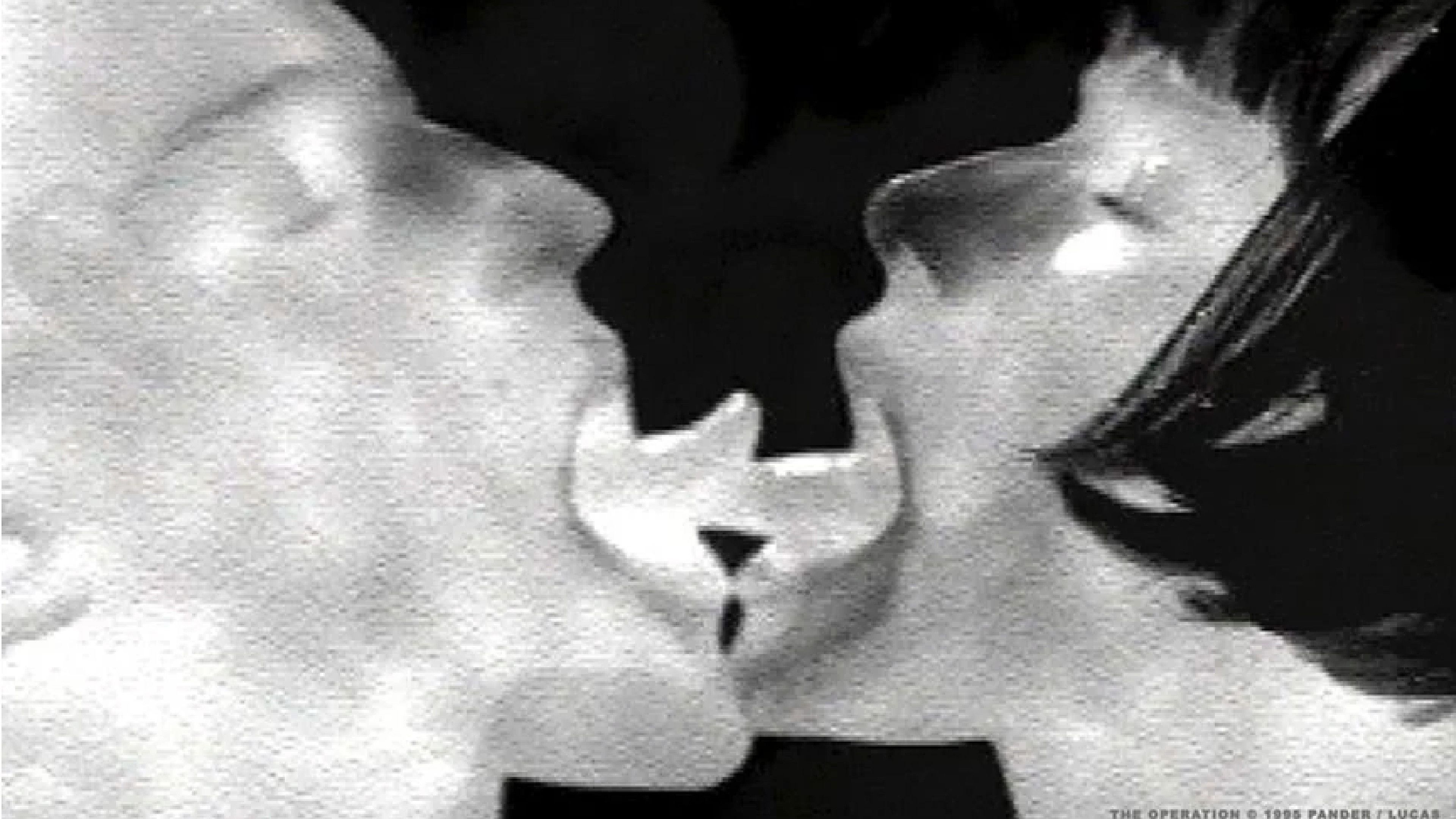 Backdrop for The Operation