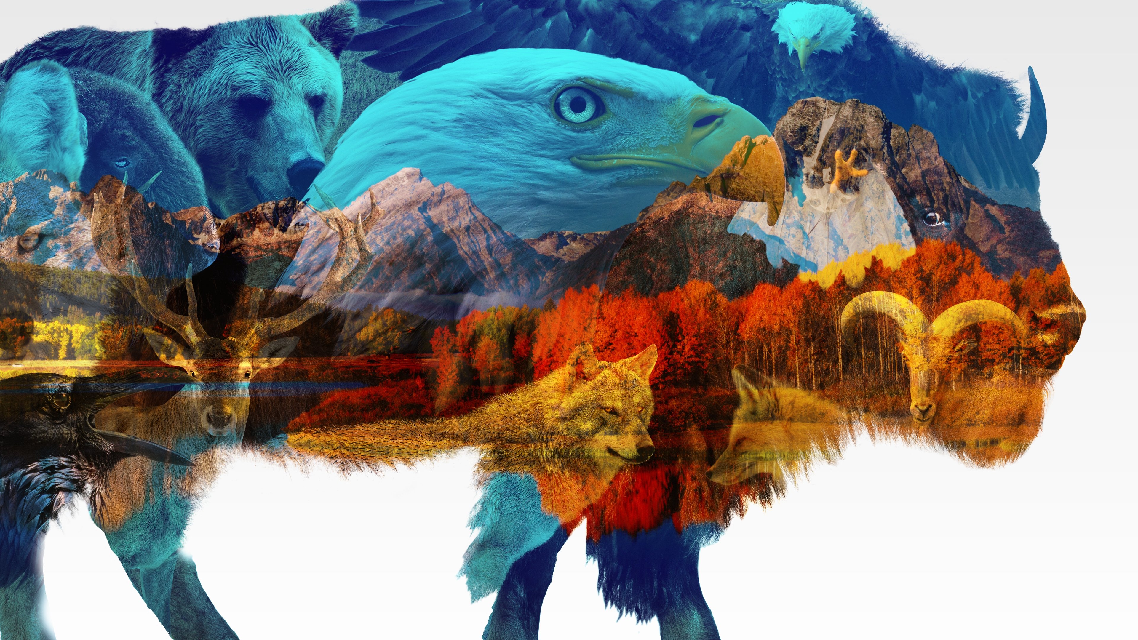 Backdrop for America the Beautiful