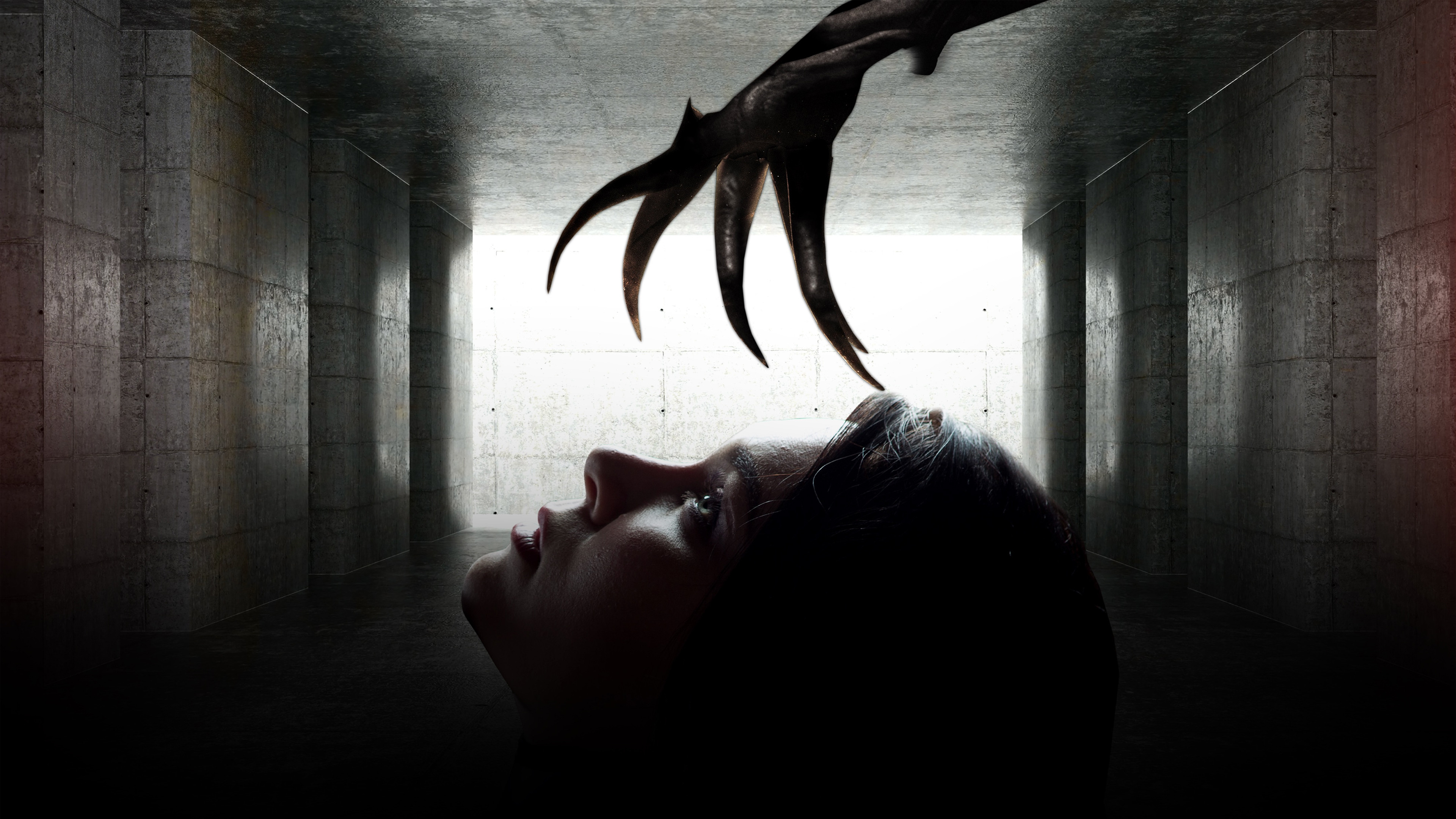 Backdrop for Bring Me a Dream