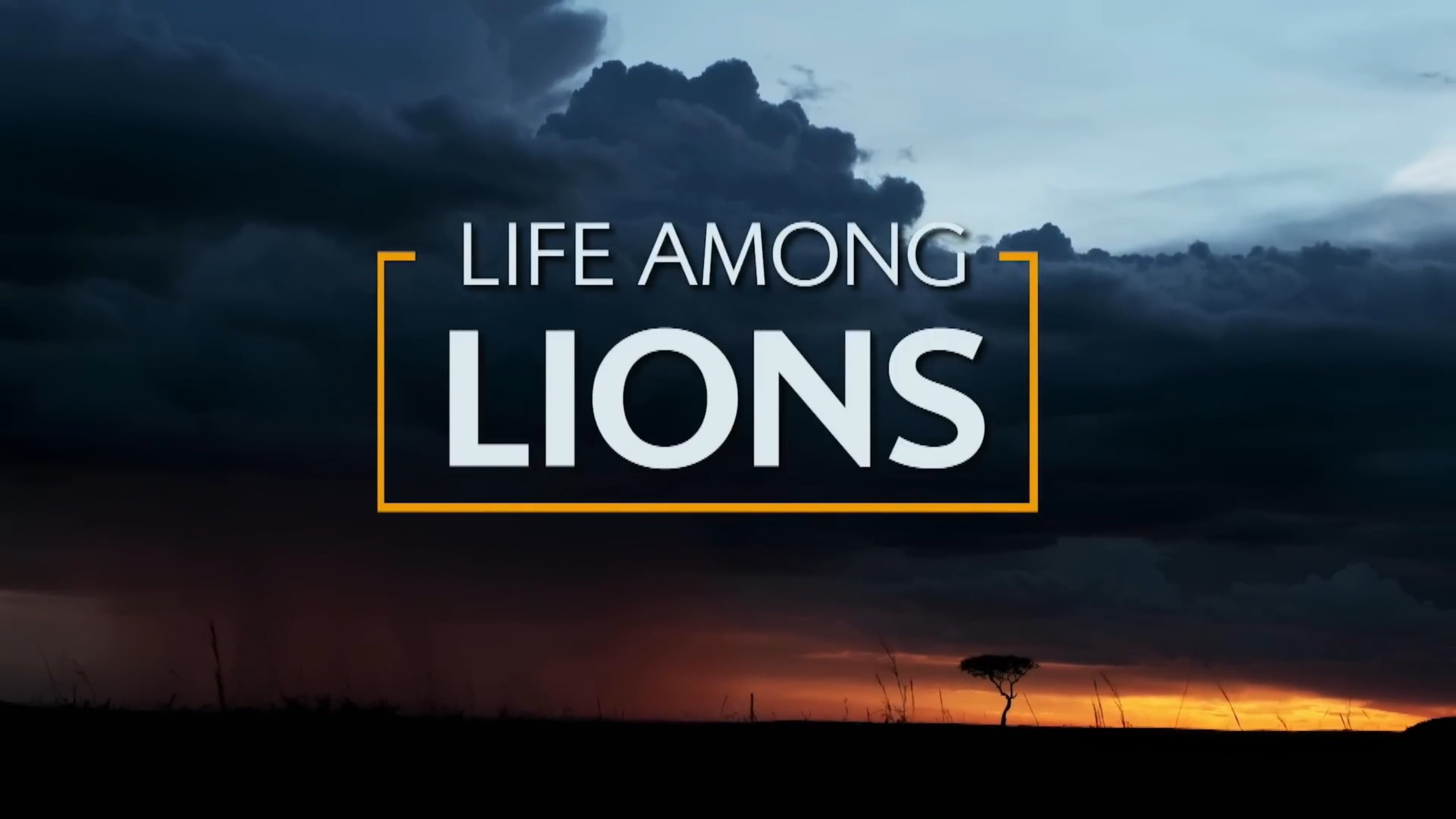 Backdrop for Life Among Lions
