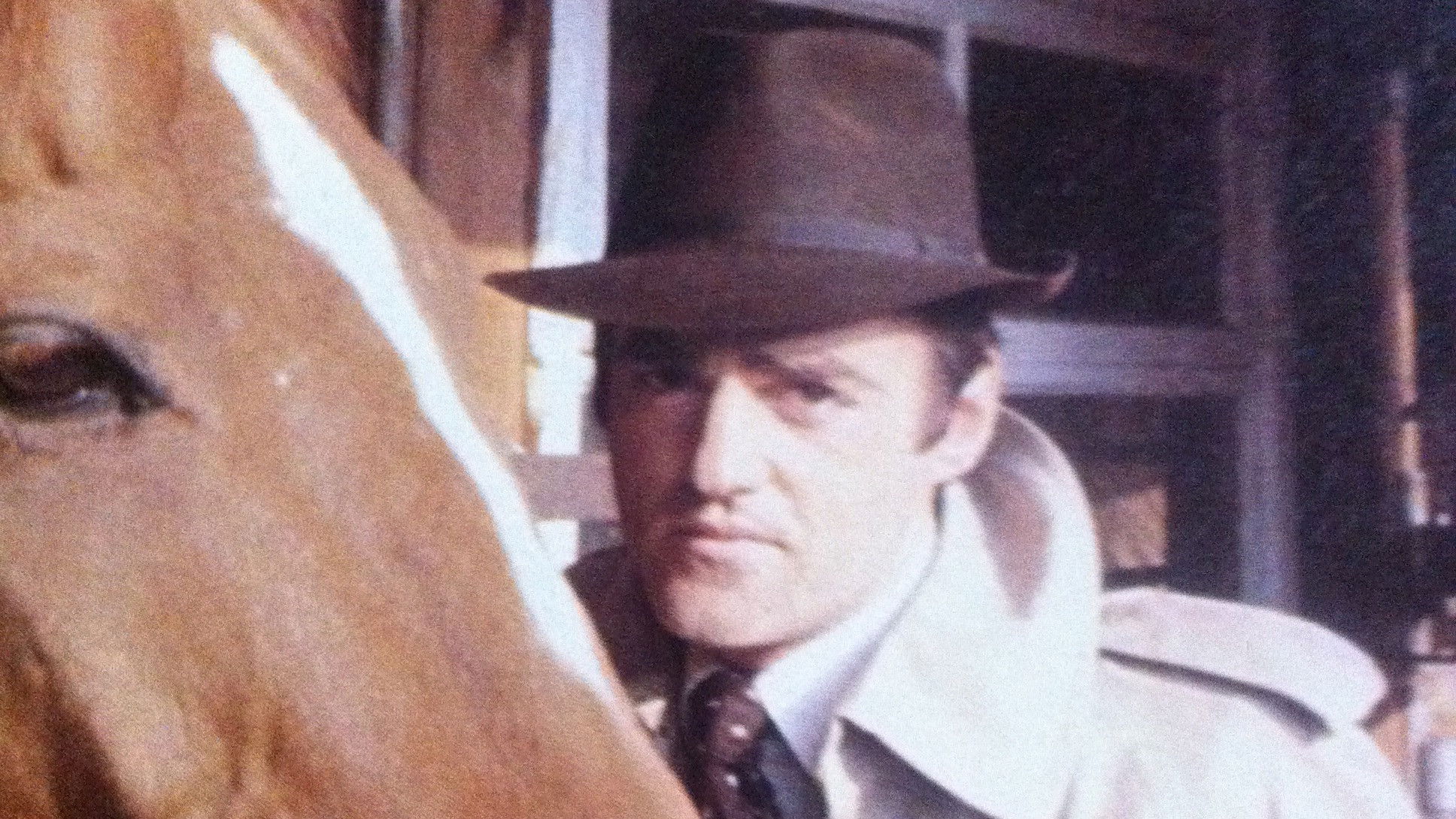 Backdrop for The Racing Game