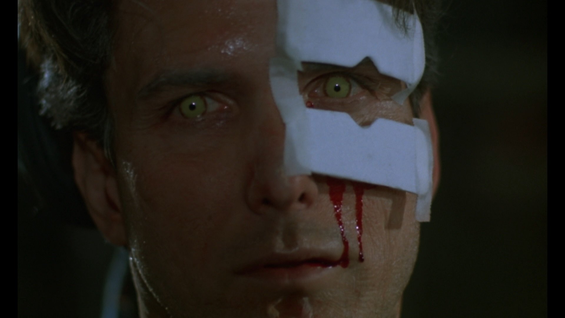 Backdrop for Metamorphosis