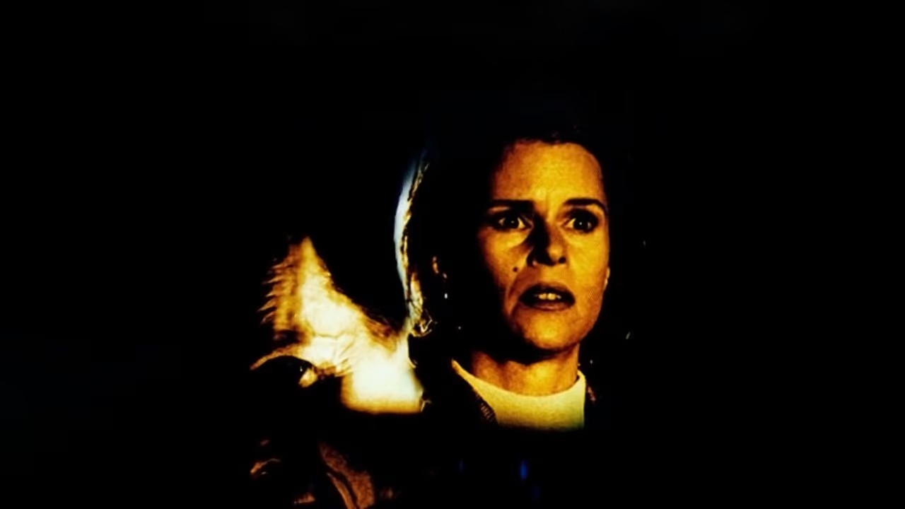 Backdrop for Midnight Flight