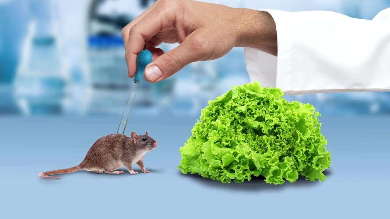 Backdrop for The Weight of Chains 3