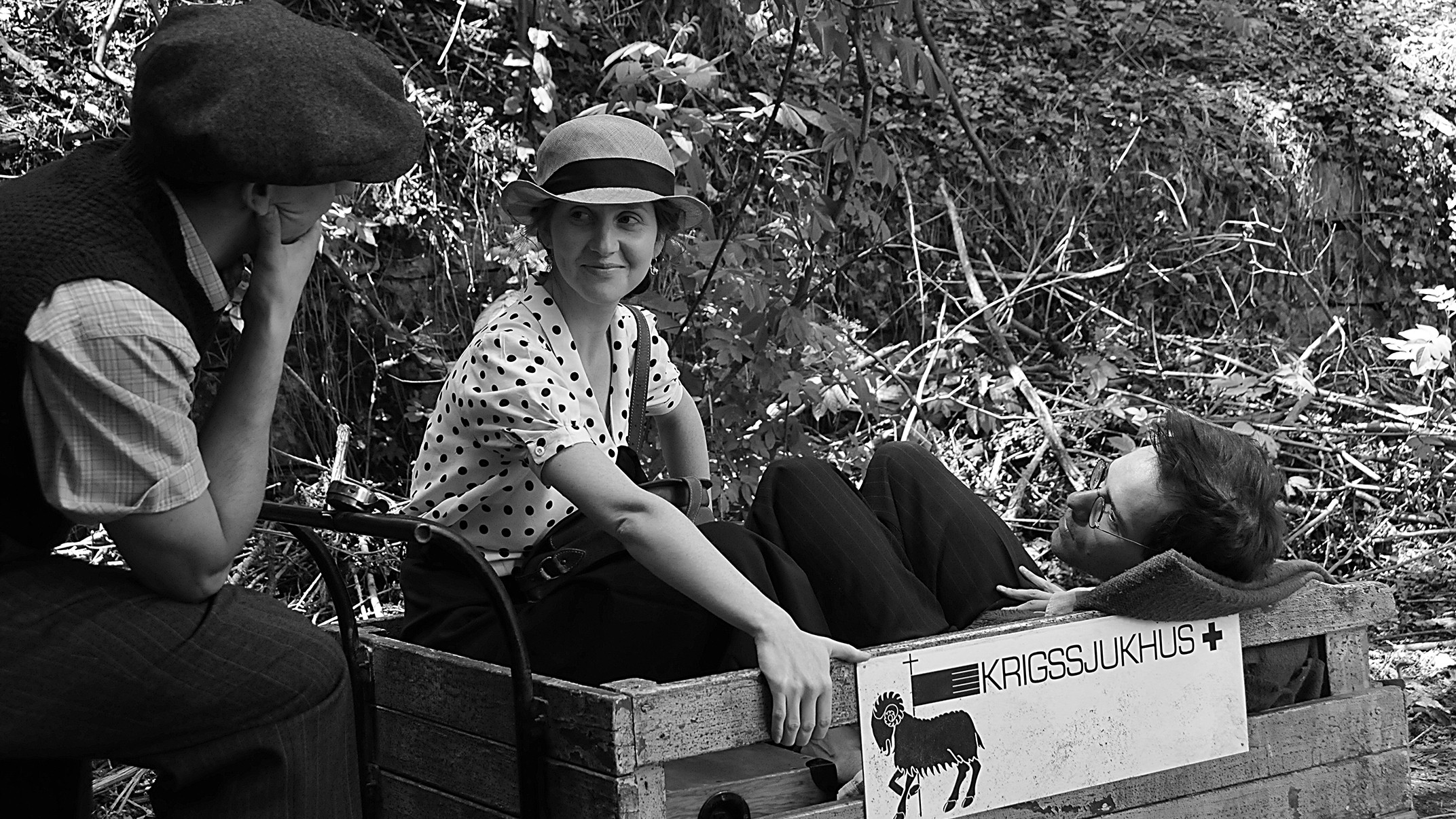 Backdrop for Fever at Dawn