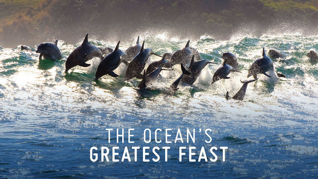 Backdrop for The Ocean’s Greatest Feast
