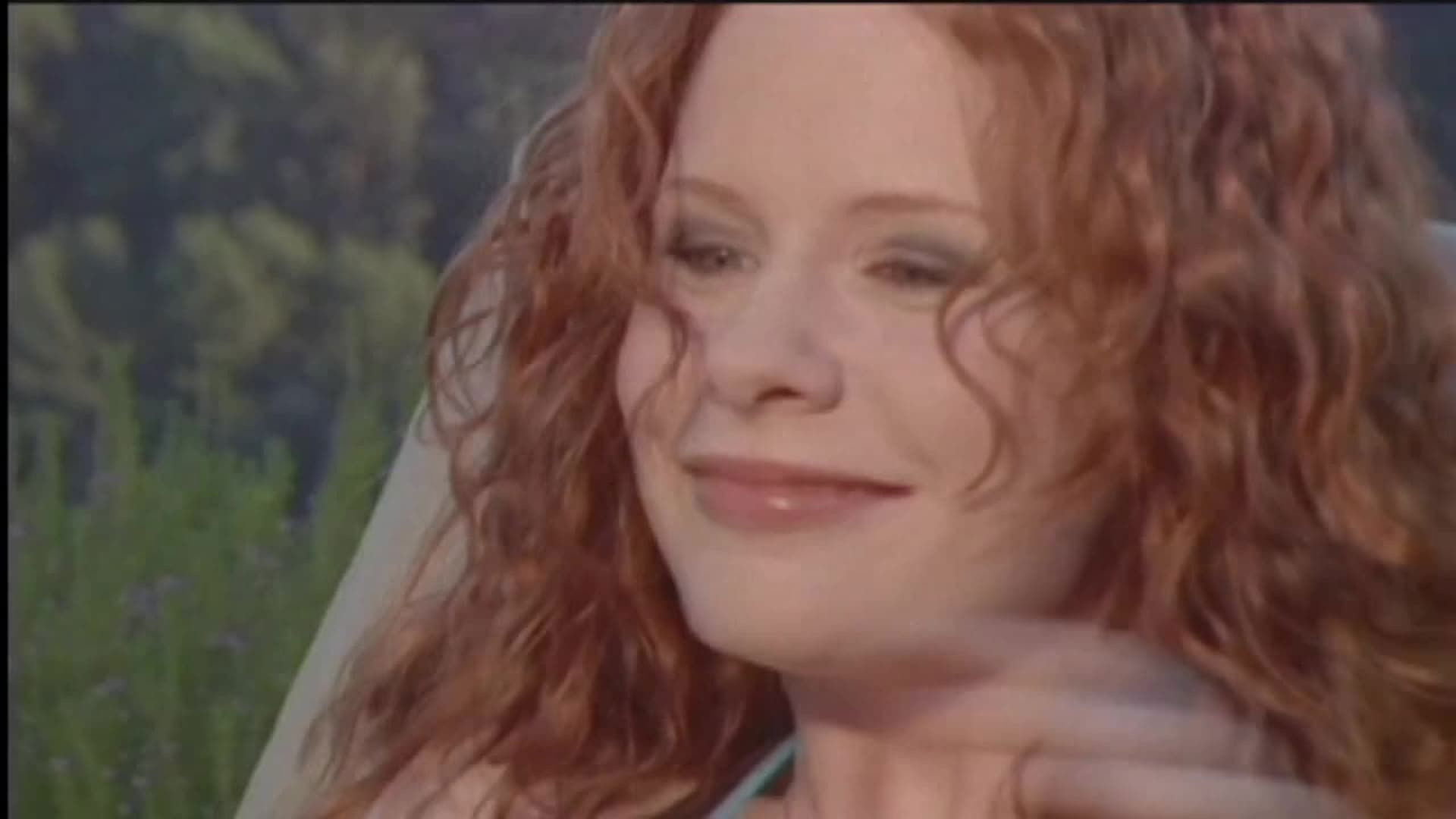 Backdrop for The Wild Card