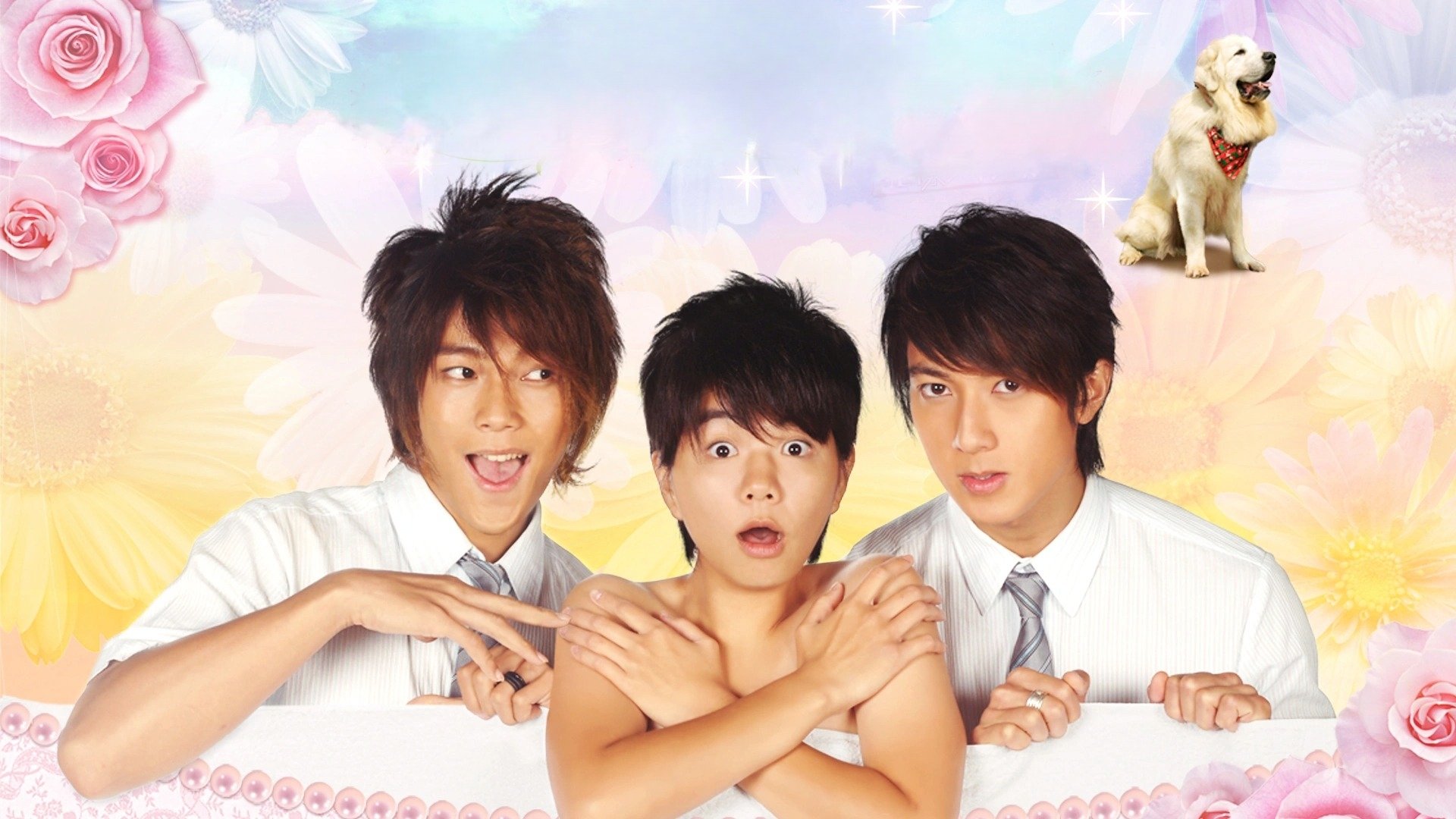 Backdrop for Hana Kimi