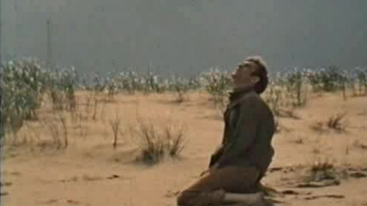 Backdrop for The Monarch Butterfly