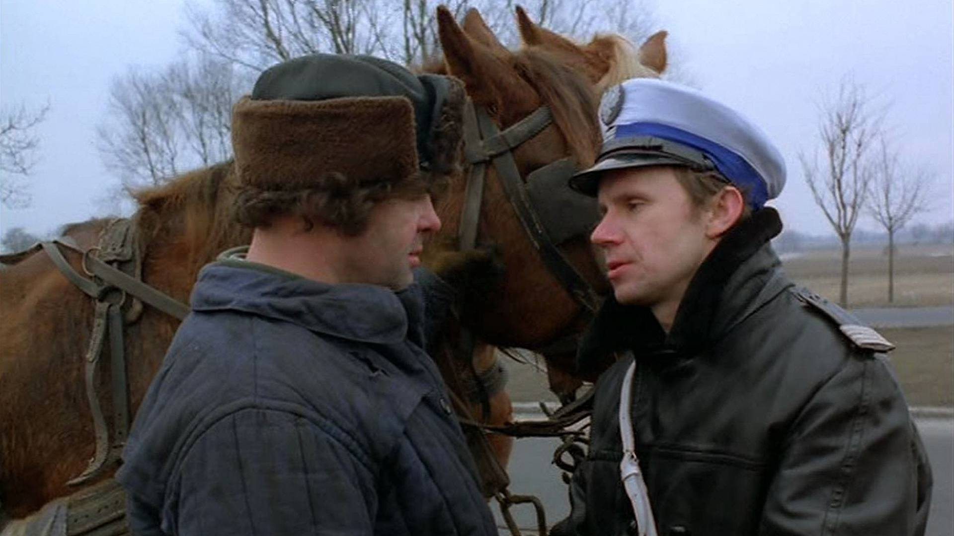 Backdrop for Teddy Bear