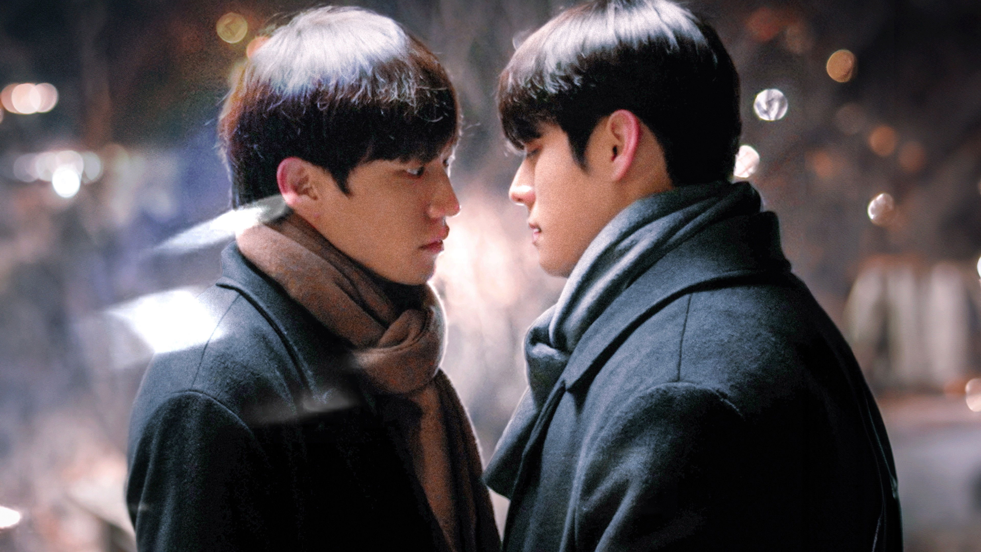 Backdrop for Gray Shelter