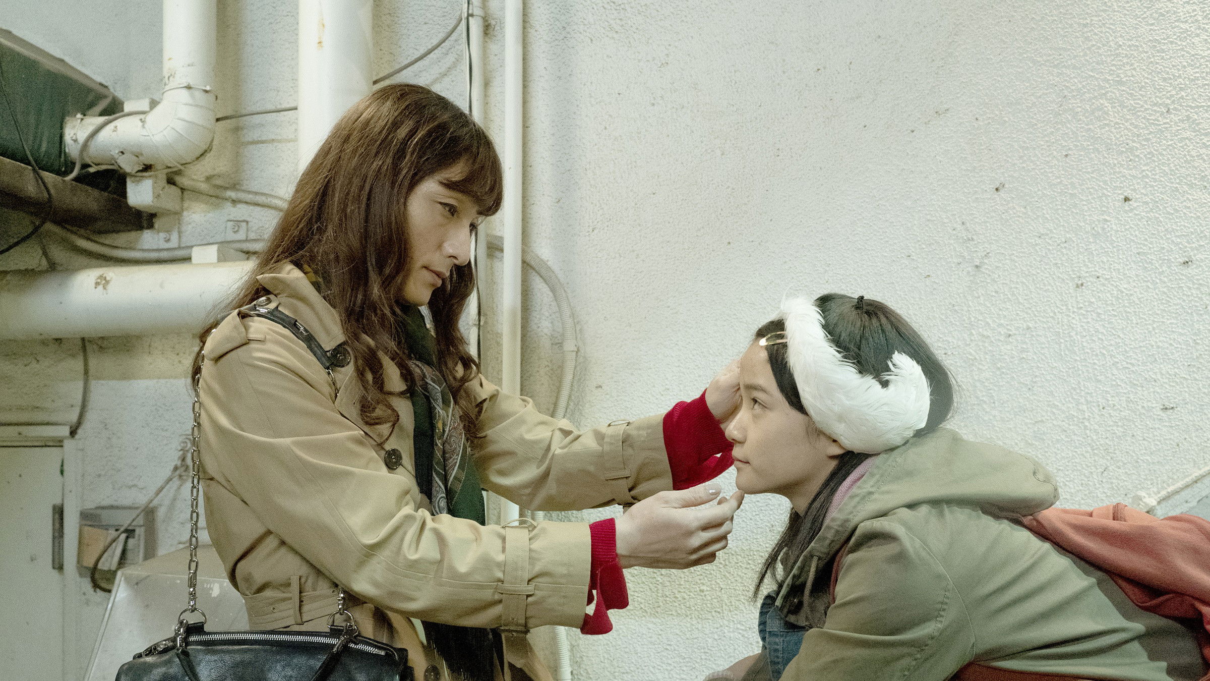 Backdrop for Midnight Swan