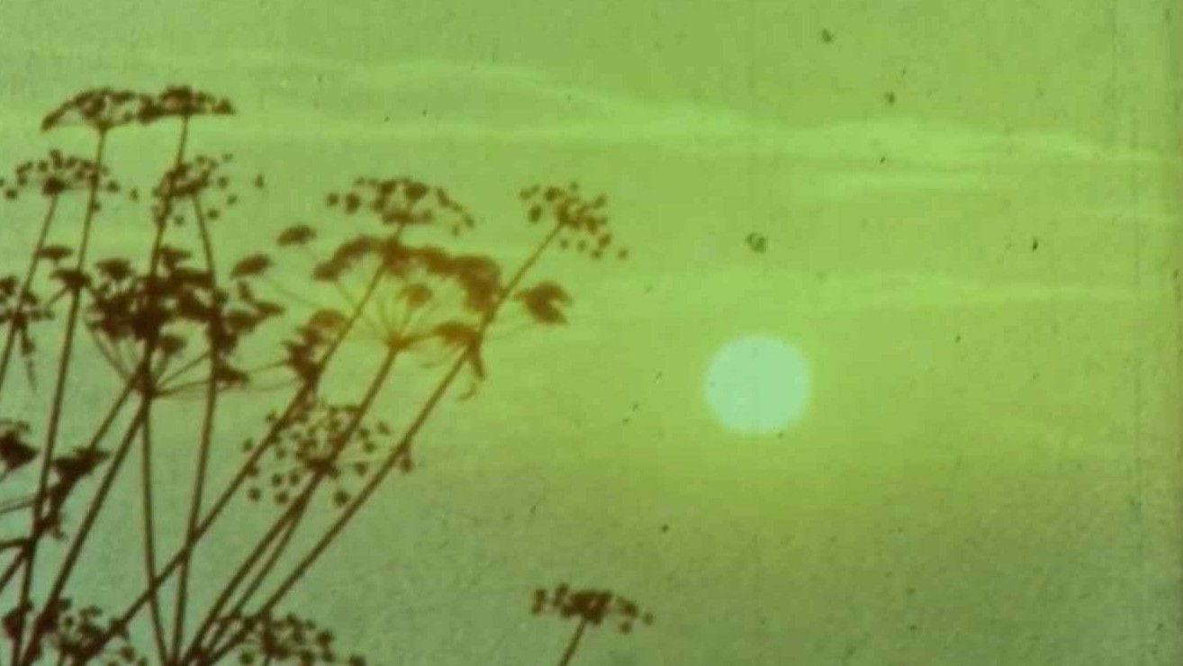 Backdrop for My Weekend