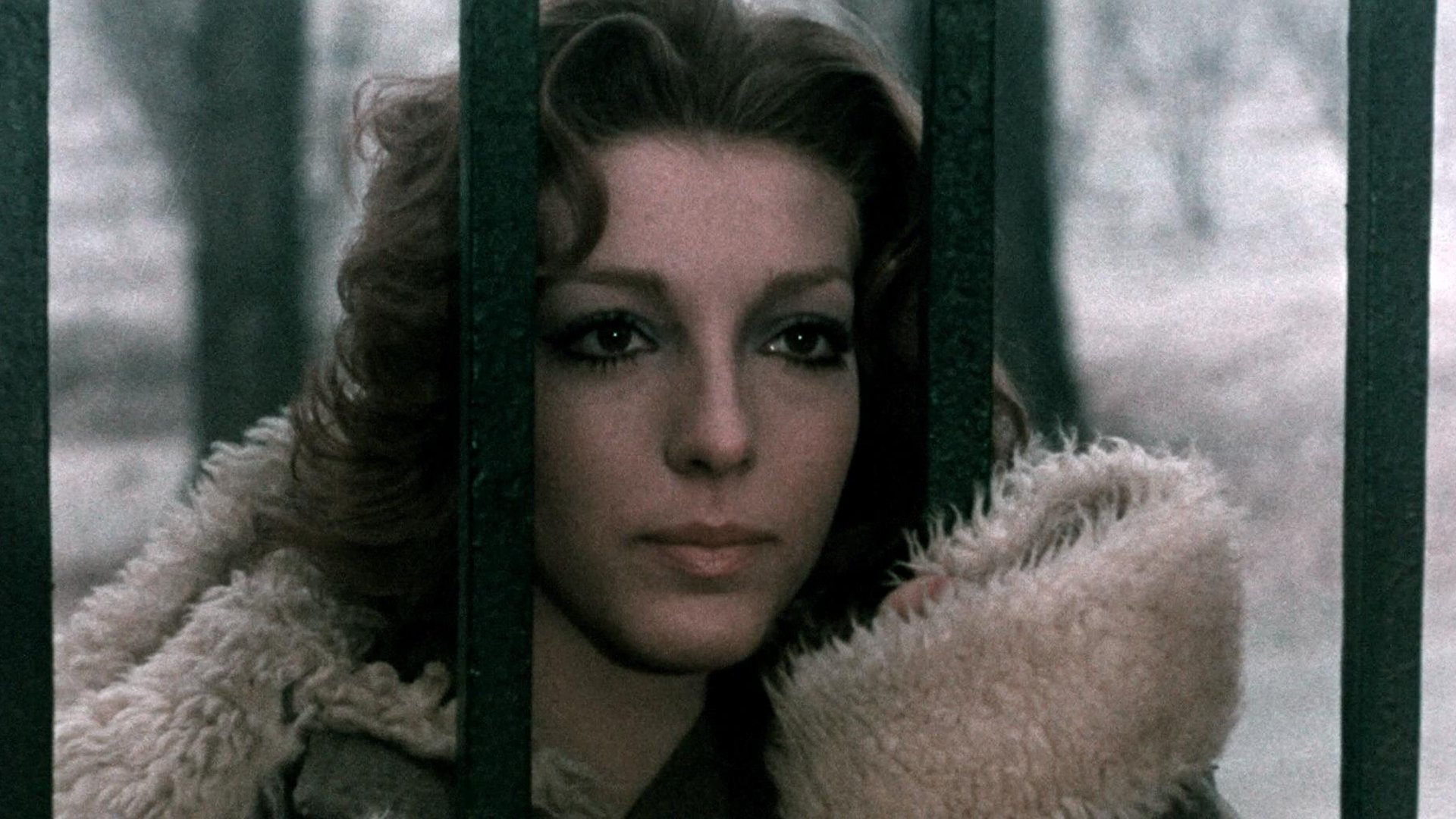 Backdrop for They Have Changed Their Face