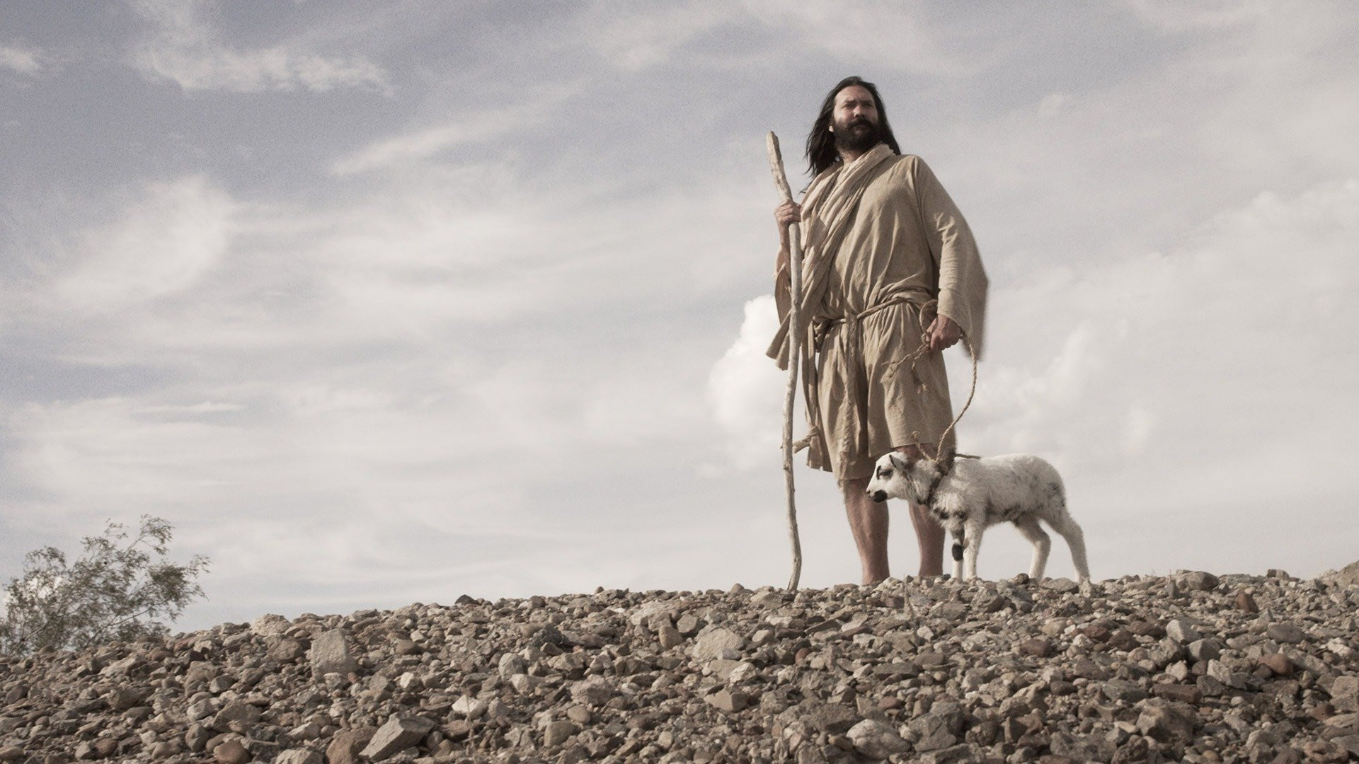 Backdrop for 40 Nights