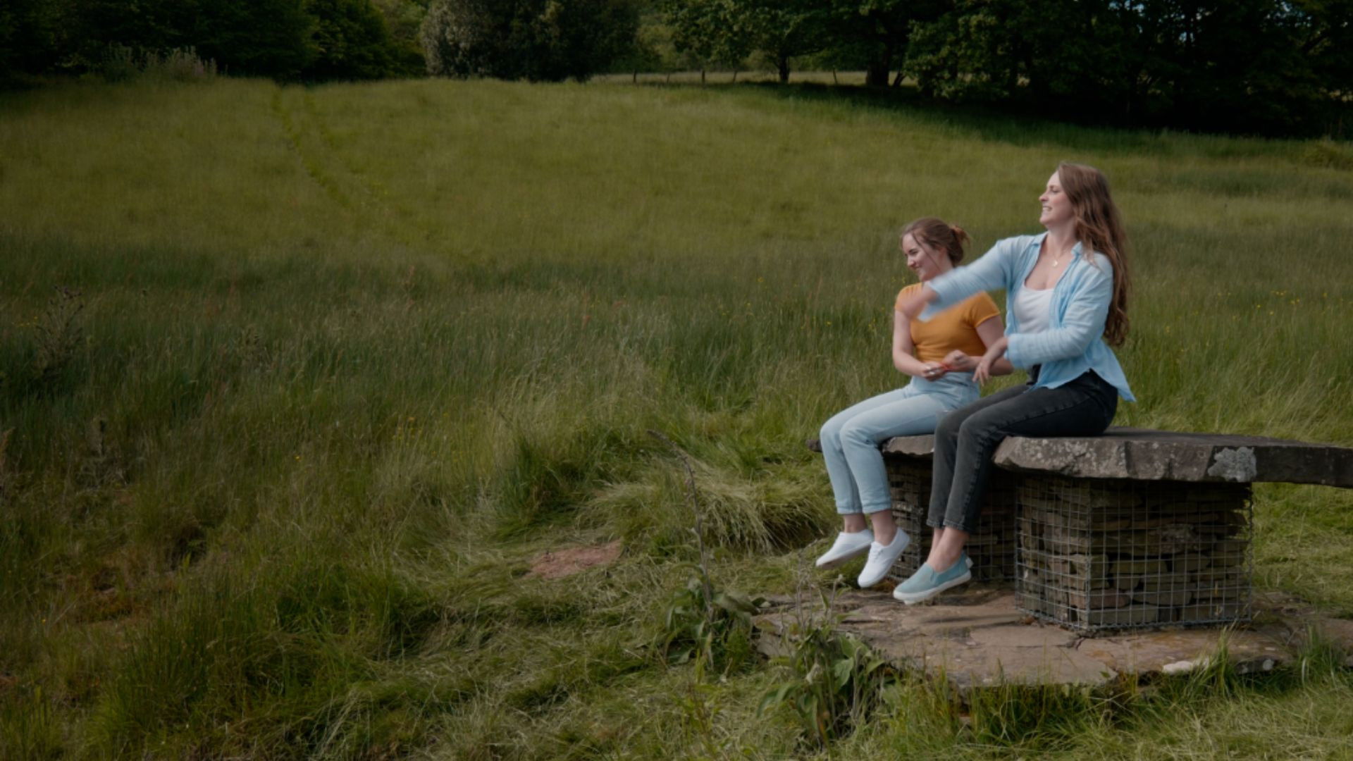 Backdrop for A Chat About Ducks