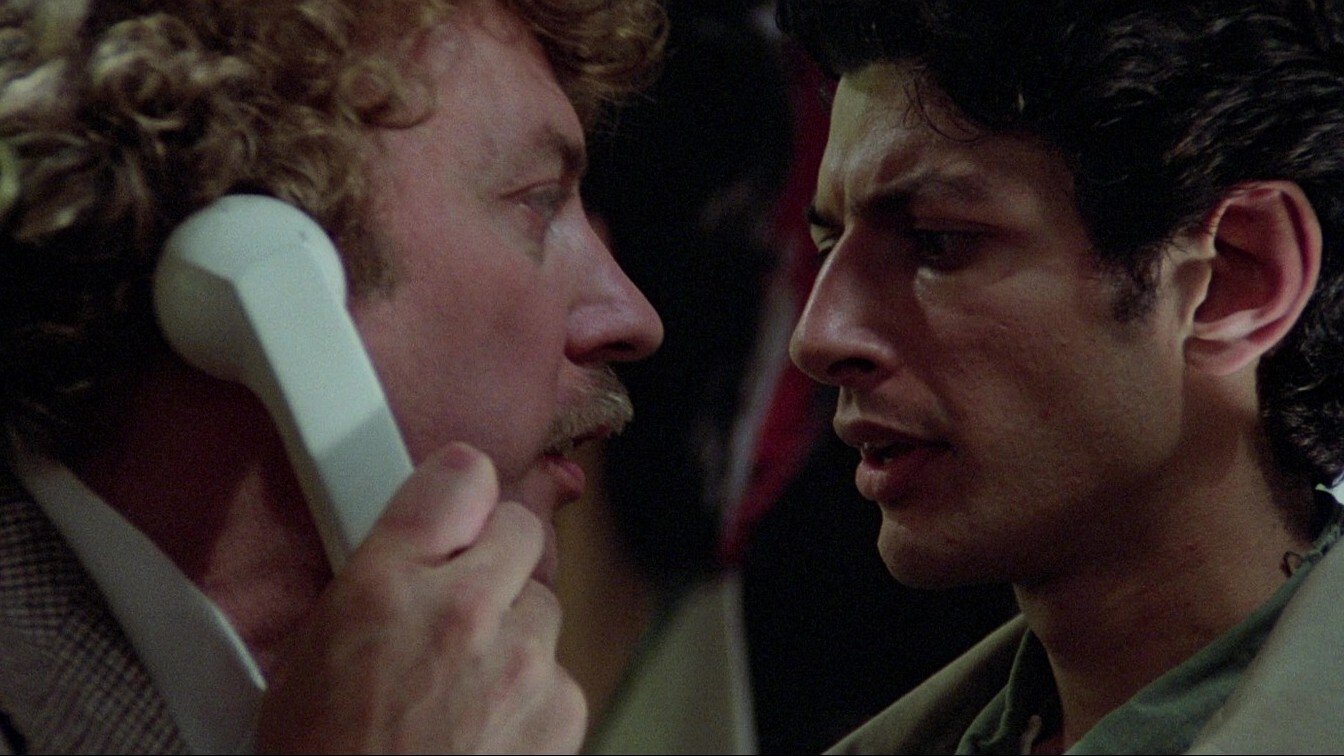 Backdrop for Invasion of the Body Snatchers