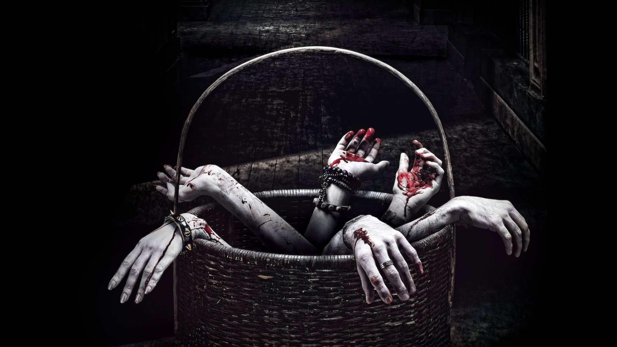 Backdrop for Horror Story