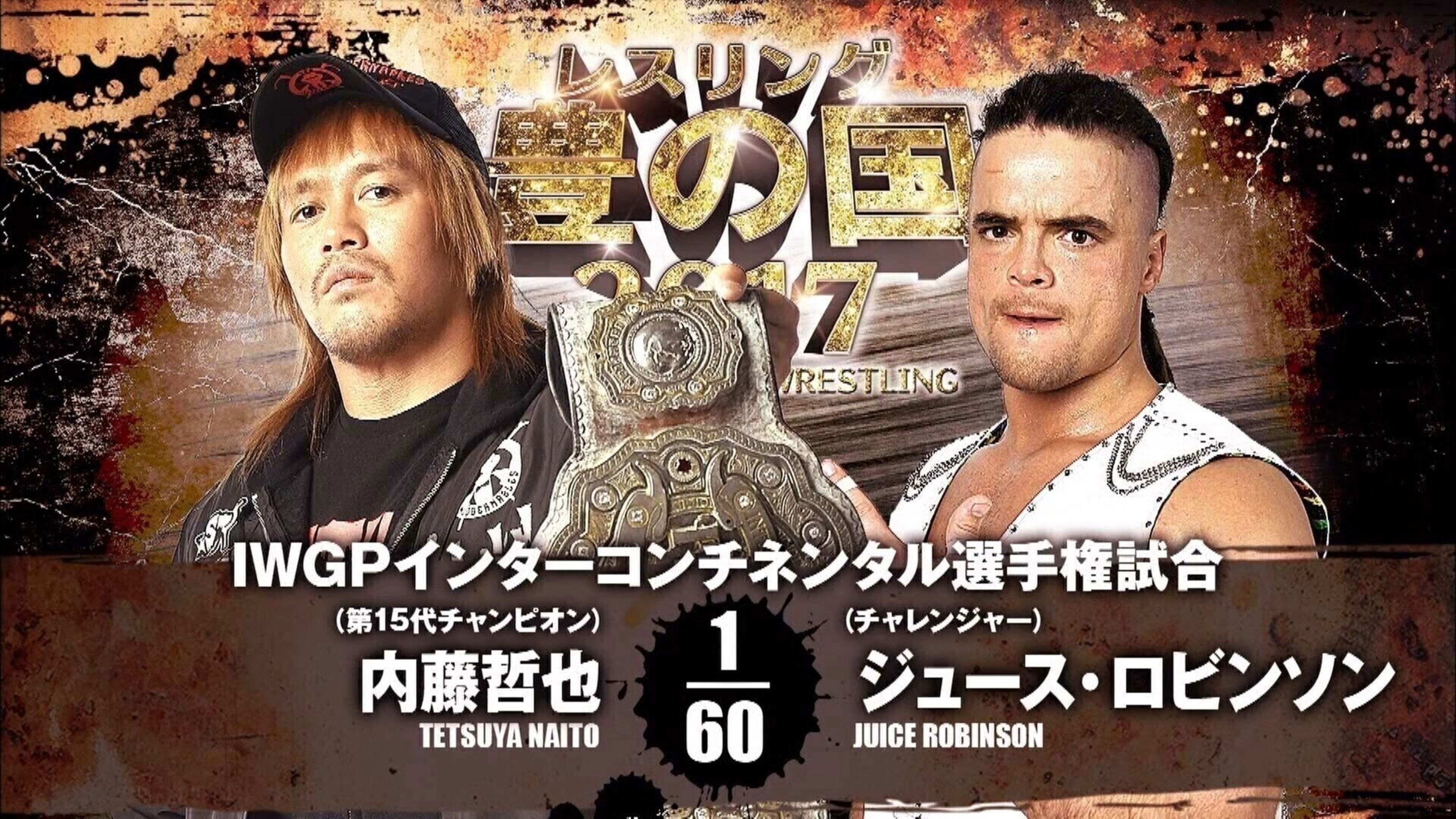 Backdrop for NJPW Wrestling Toyonokuni 2017