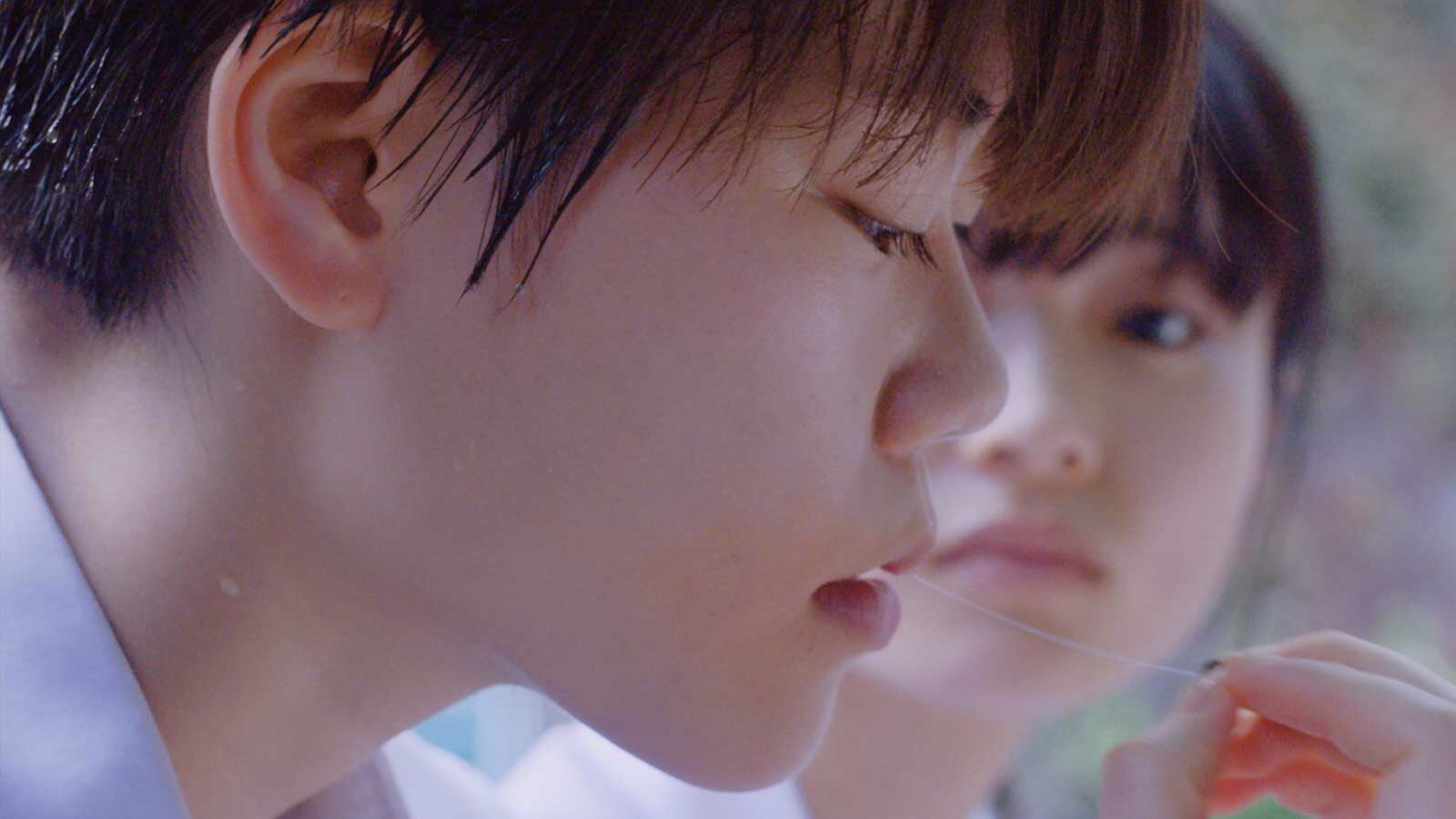 Backdrop for Watermelon Baby