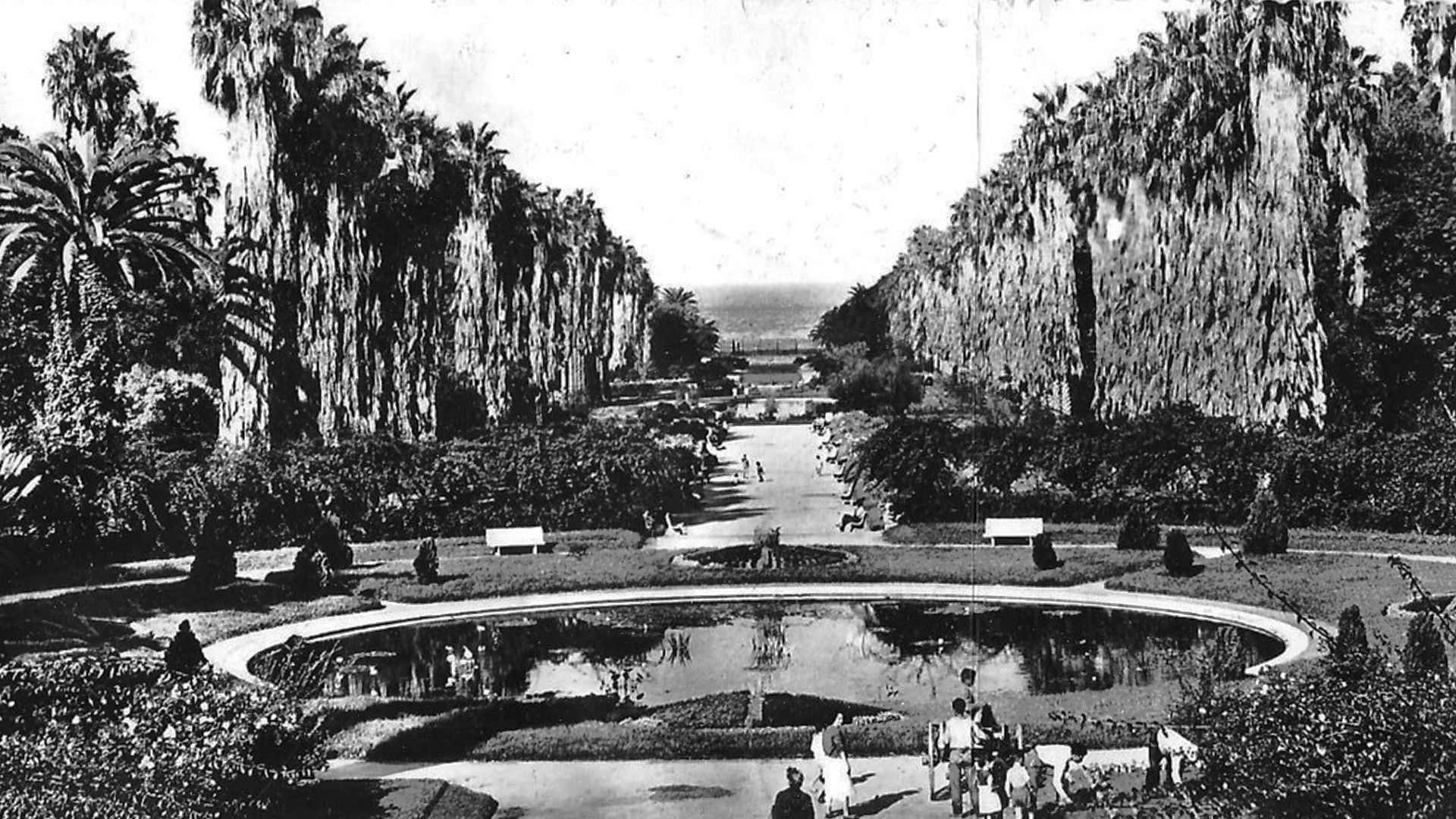 Backdrop for Alger Et Ses Environs