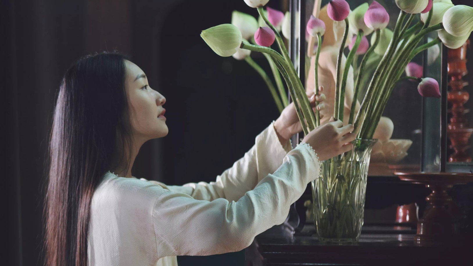 Backdrop for The Muse Story