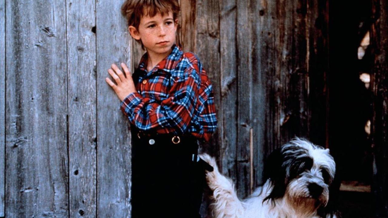 Backdrop for Weihnachten mit Willy Wuff