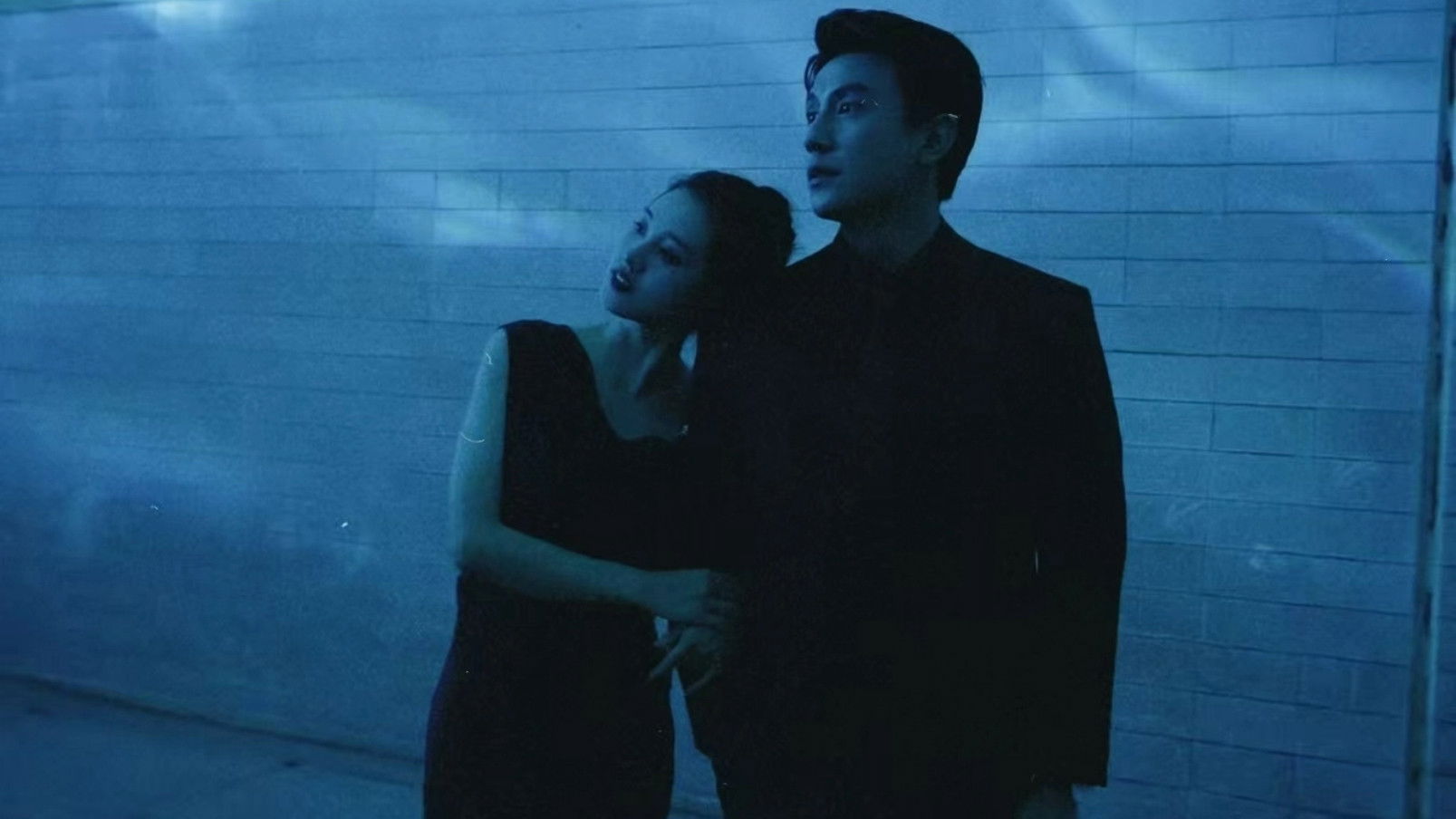 Backdrop for Summer Rose