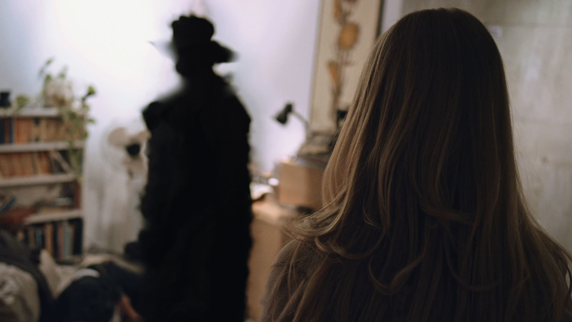 Backdrop for The Man in the Shadows