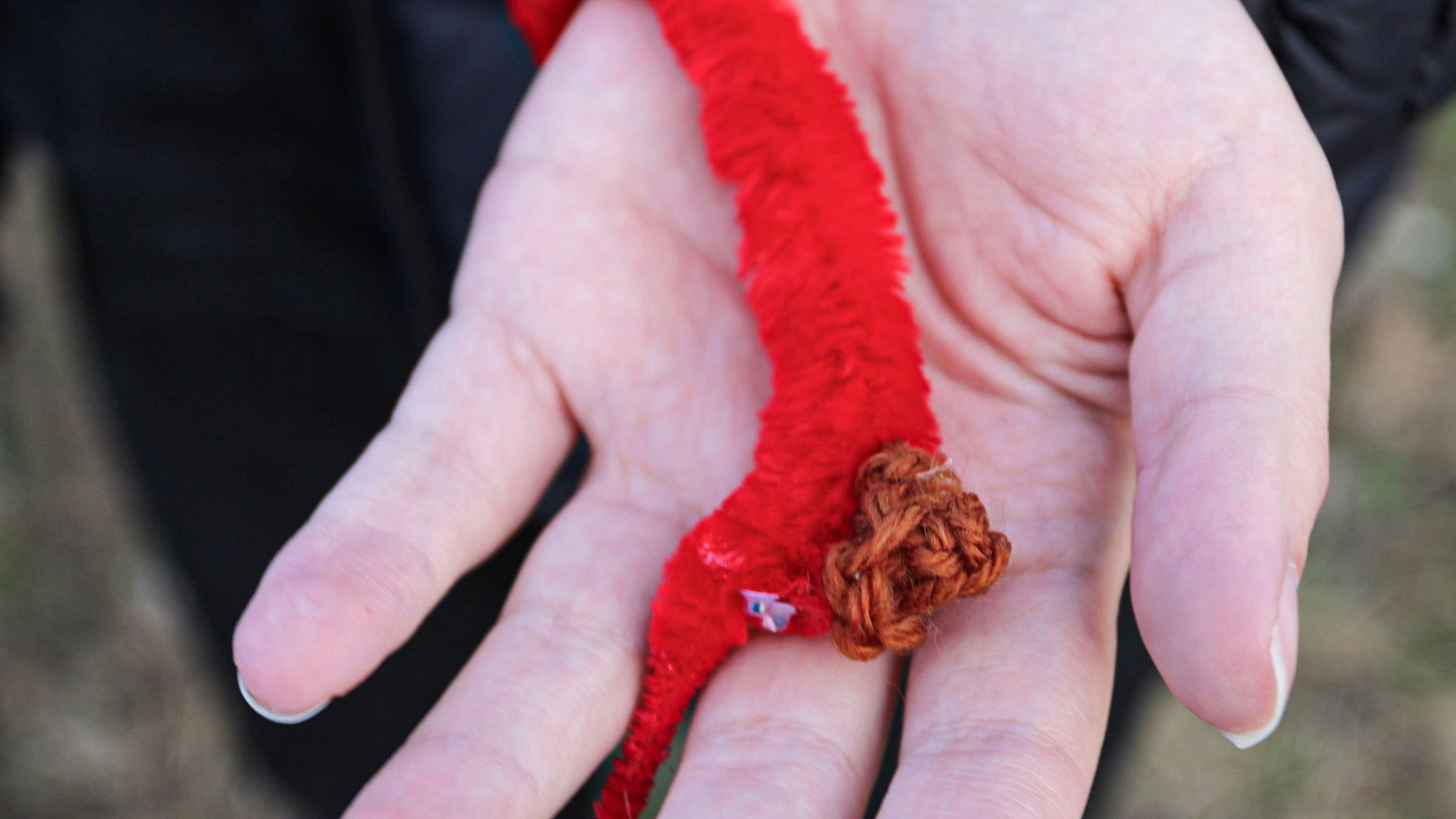 Backdrop for Worm Detective: The Worm is the Detective