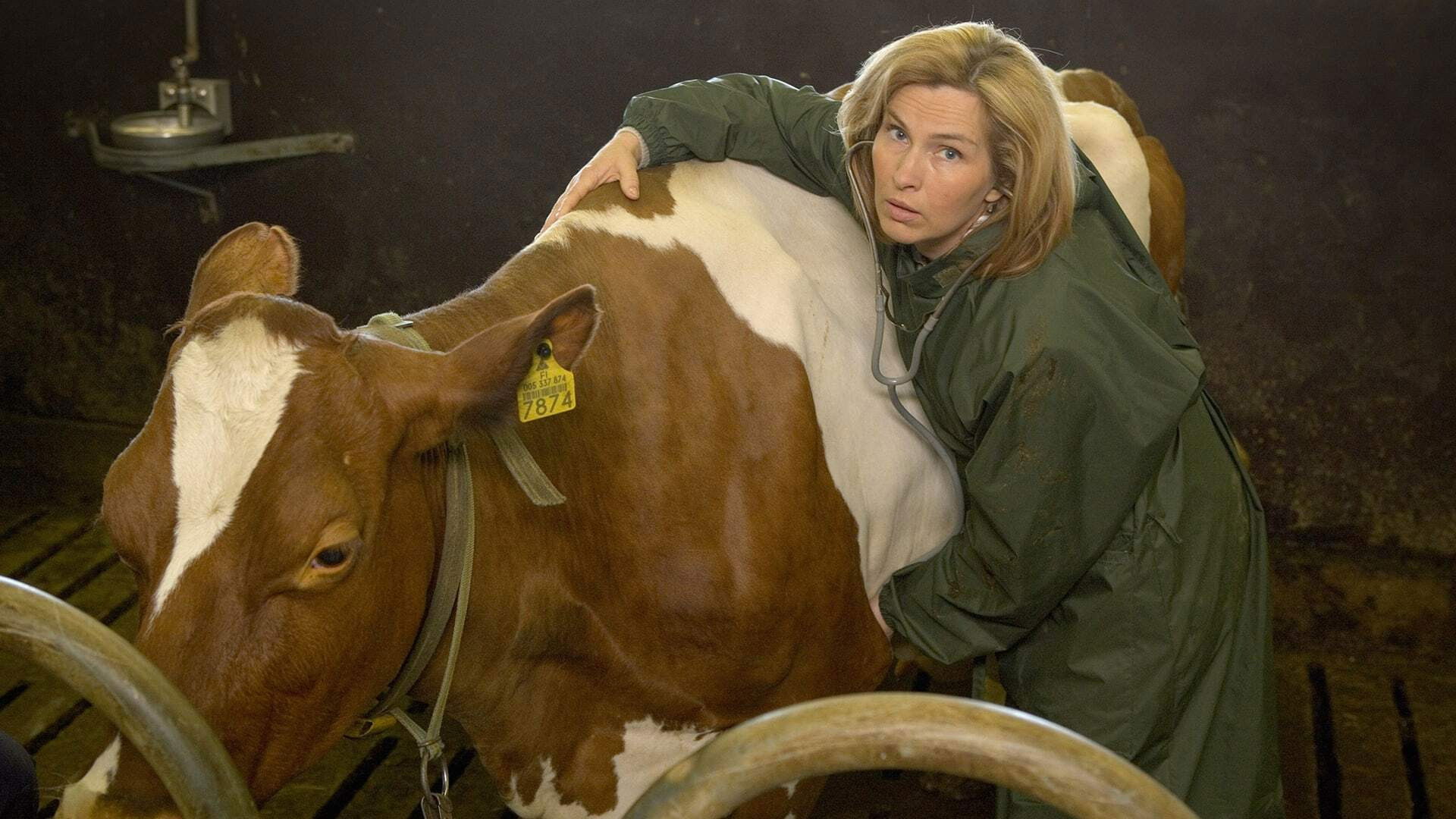 Backdrop for Lehmän vuosi