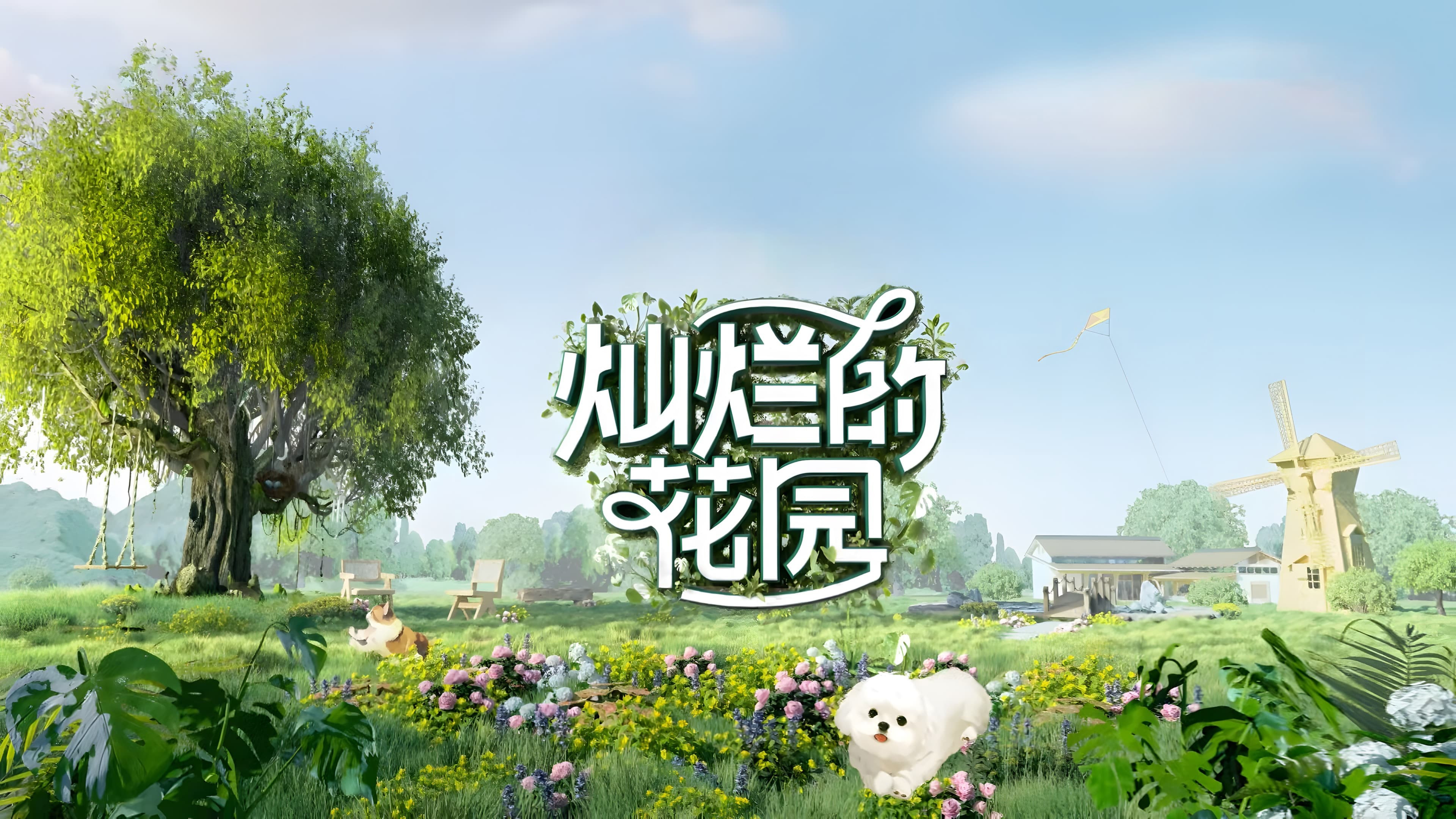 Backdrop for Brilliant Garden