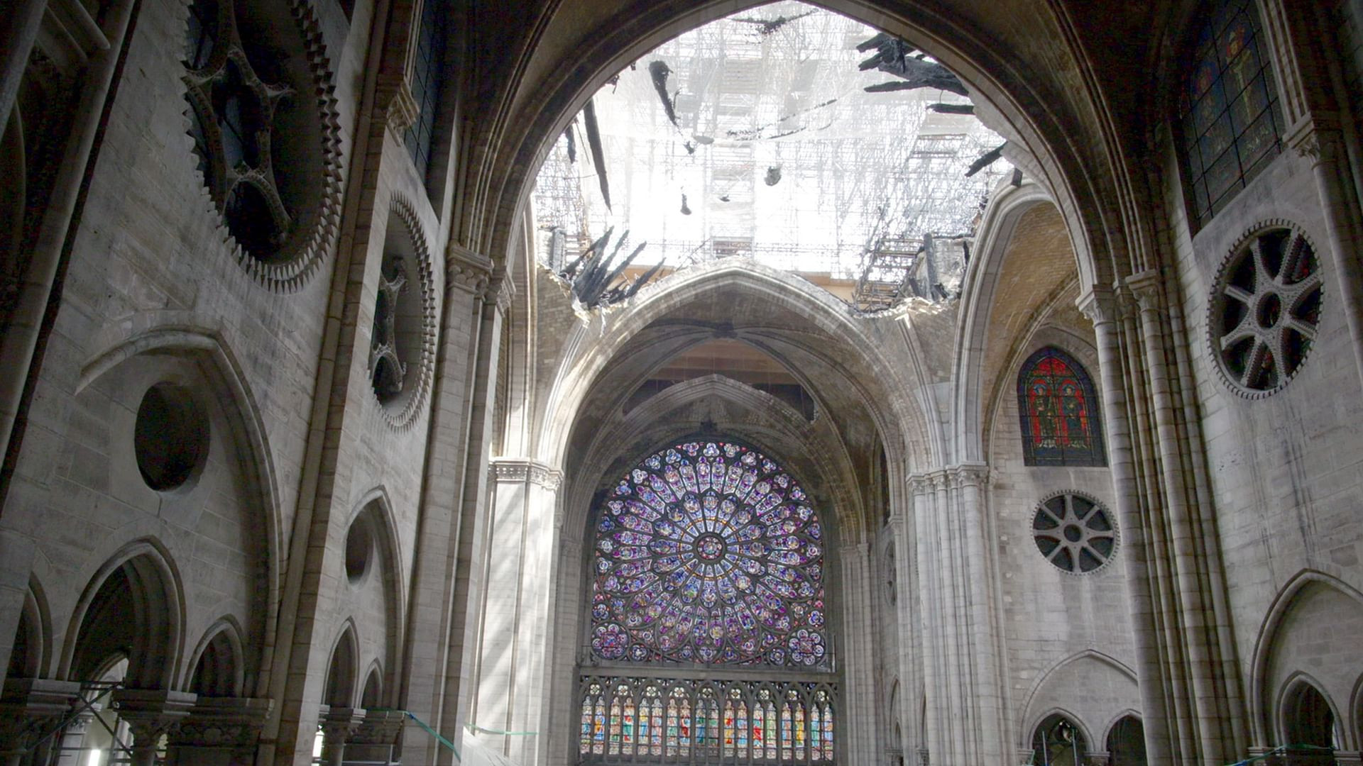 Backdrop for Notre-Dame de Paris, le chantier du siècle