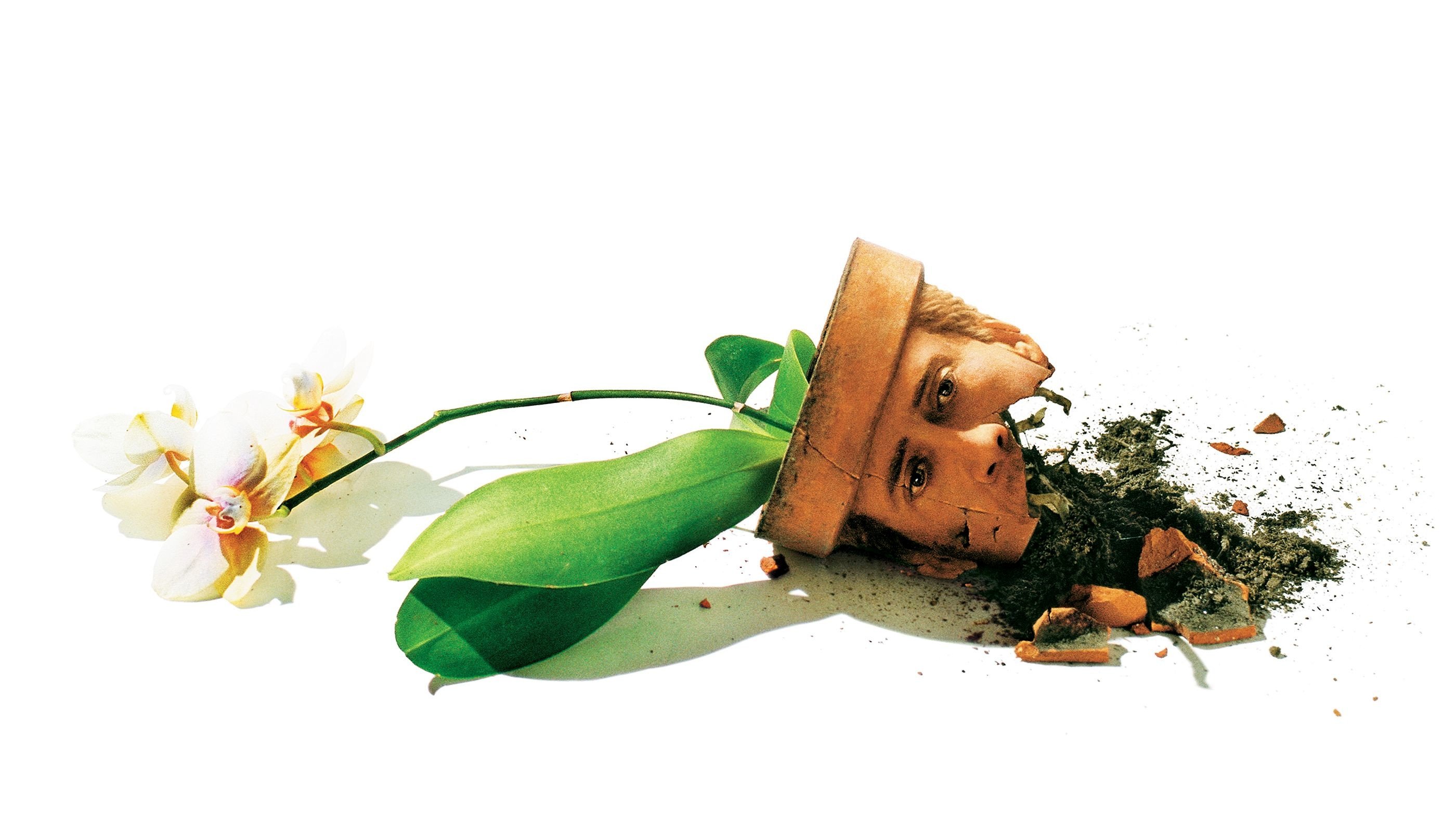 Backdrop for Adaptation.