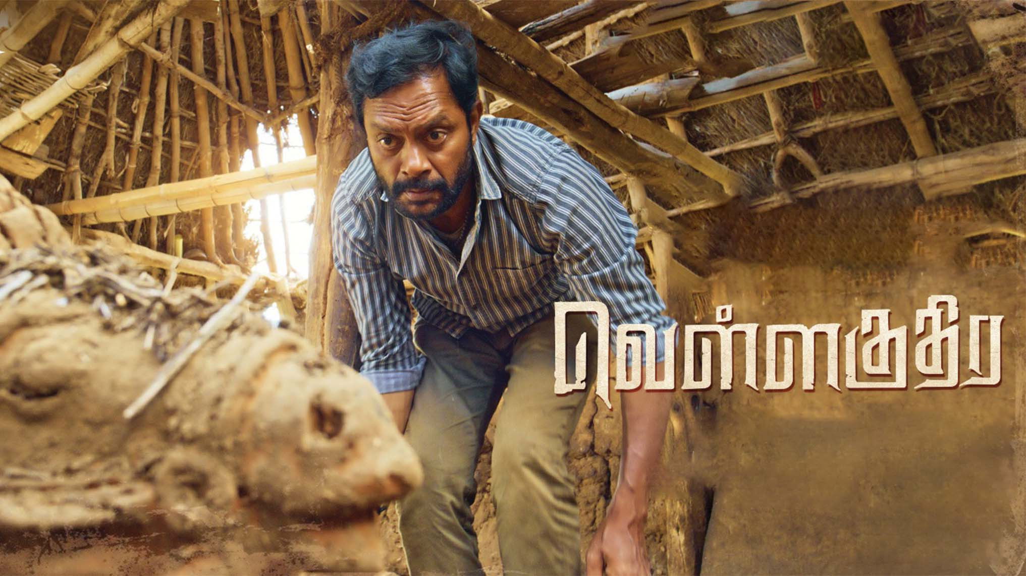 Backdrop for Vellakuthira