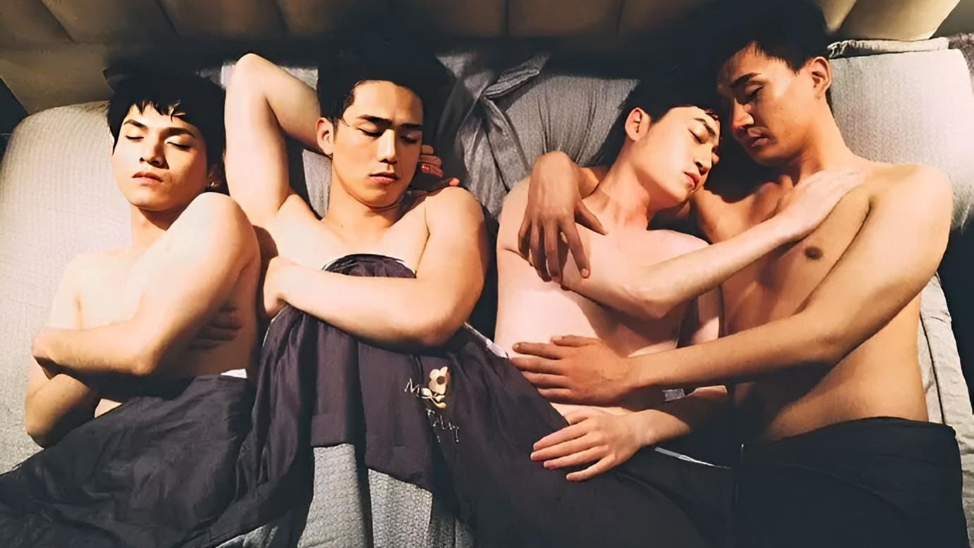 Backdrop for Customized Companion