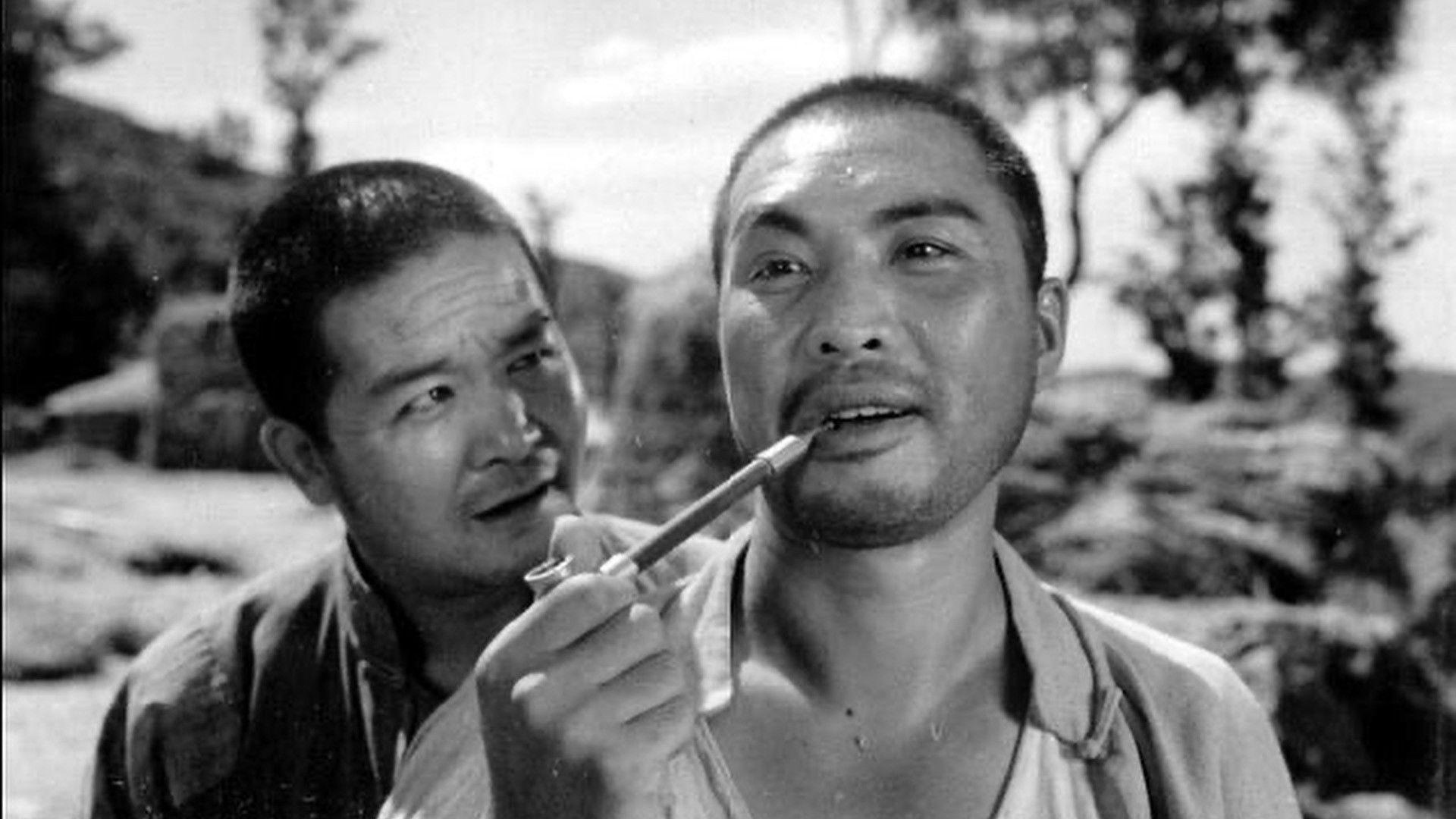 Backdrop for 丰收之后