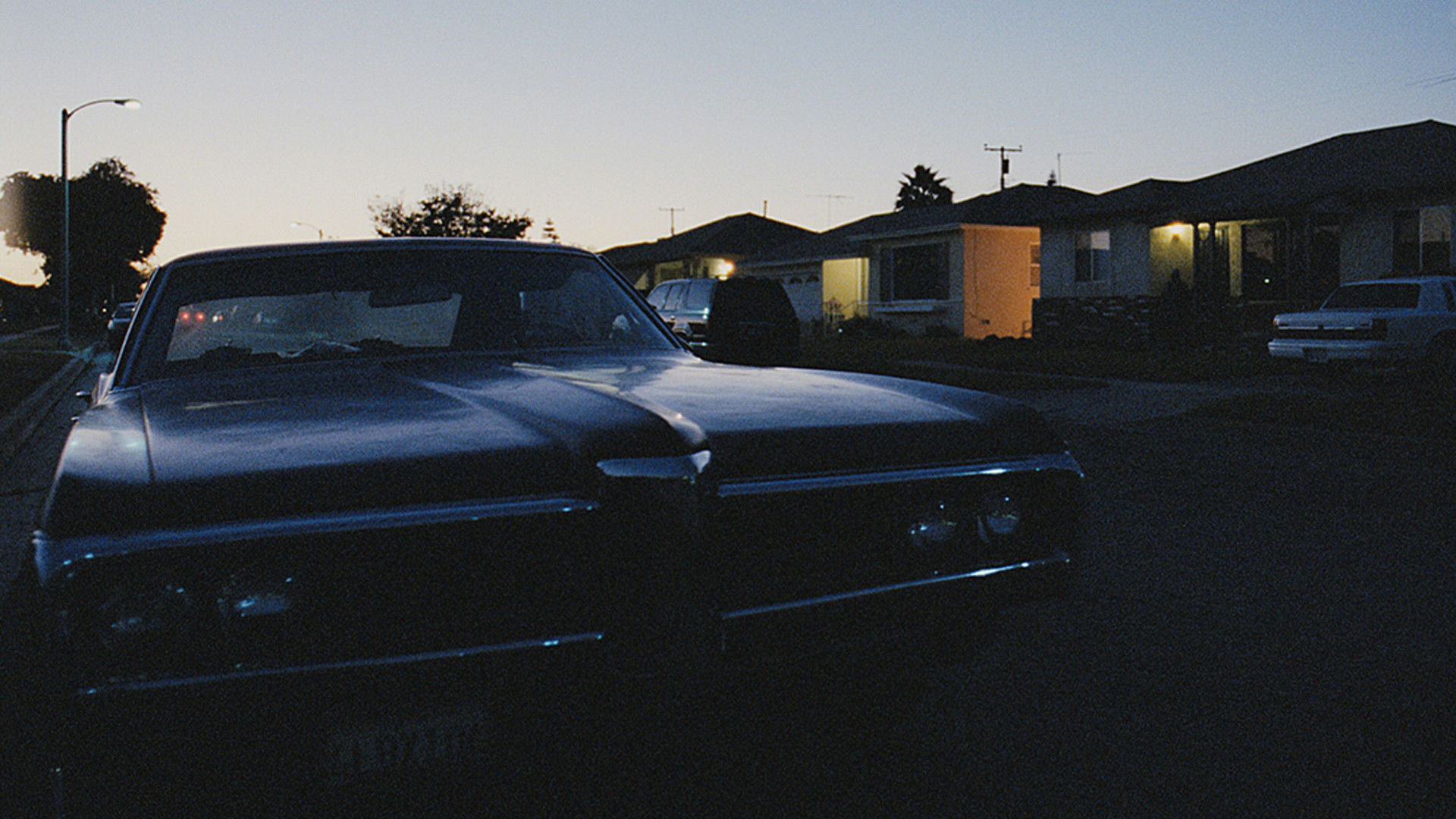 Backdrop for m.A.A.d