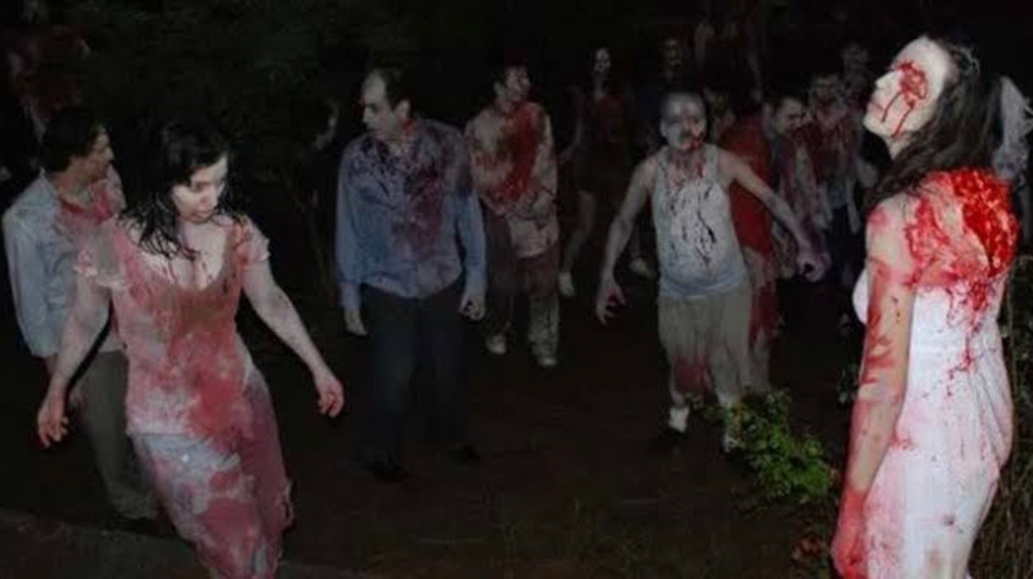 Backdrop for Island: Wedding of the Zombies