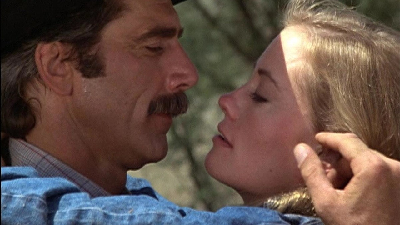 Backdrop for The Yellow Rose