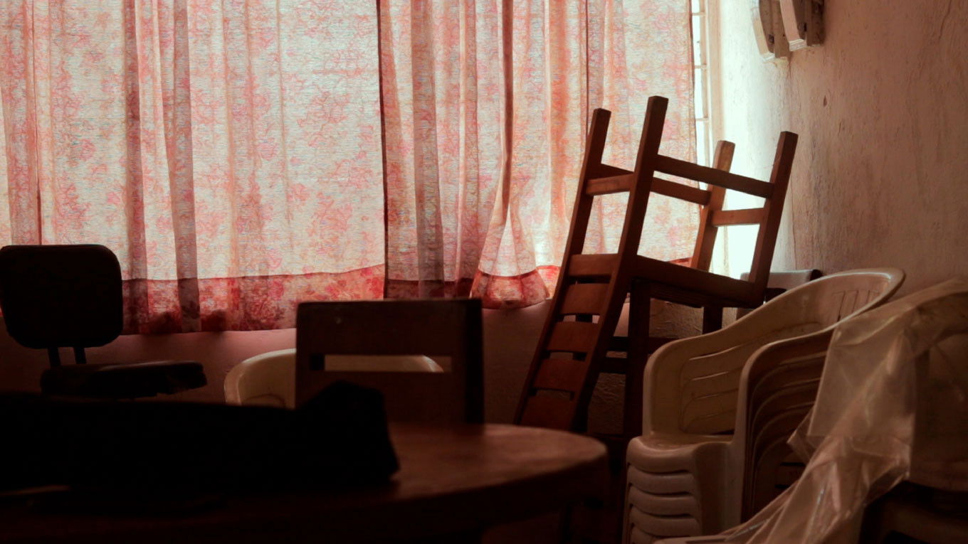 Backdrop for Se Siembran Flores