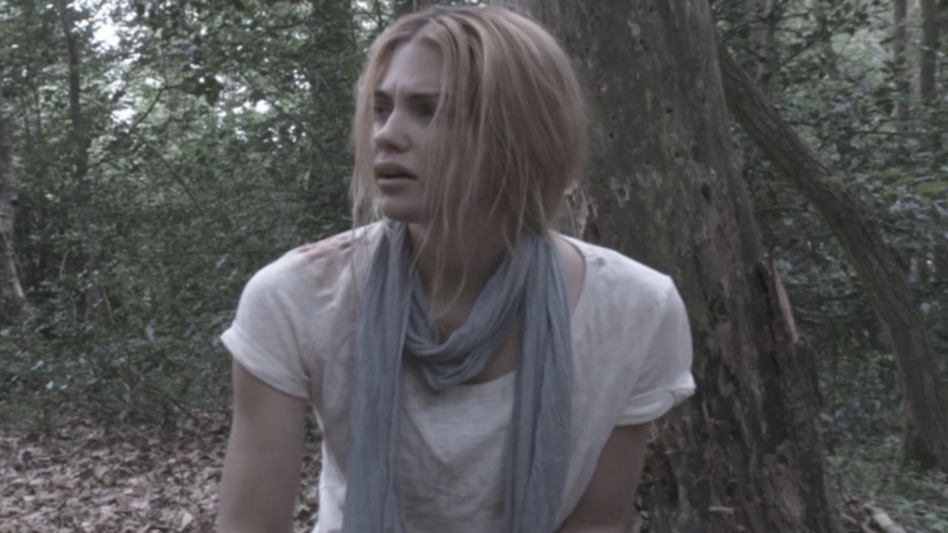 Backdrop for UFO: It Is Here