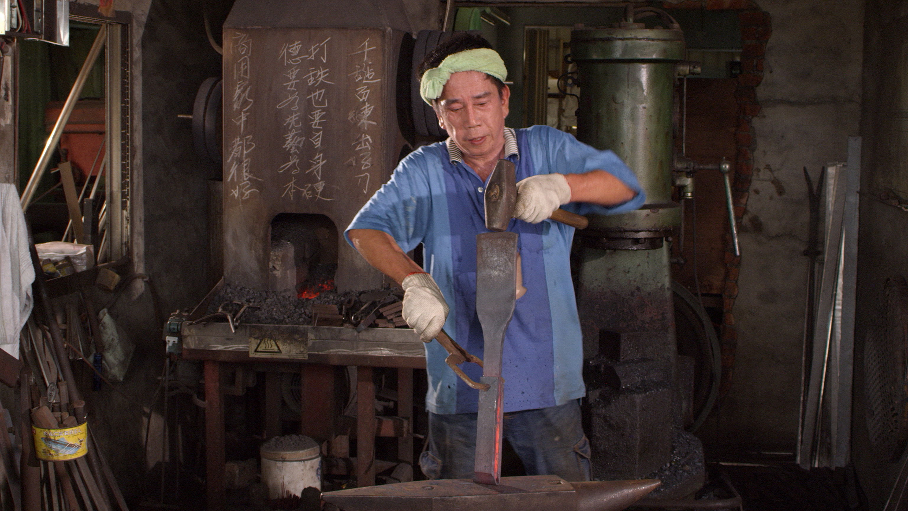 Backdrop for Formosa 3D