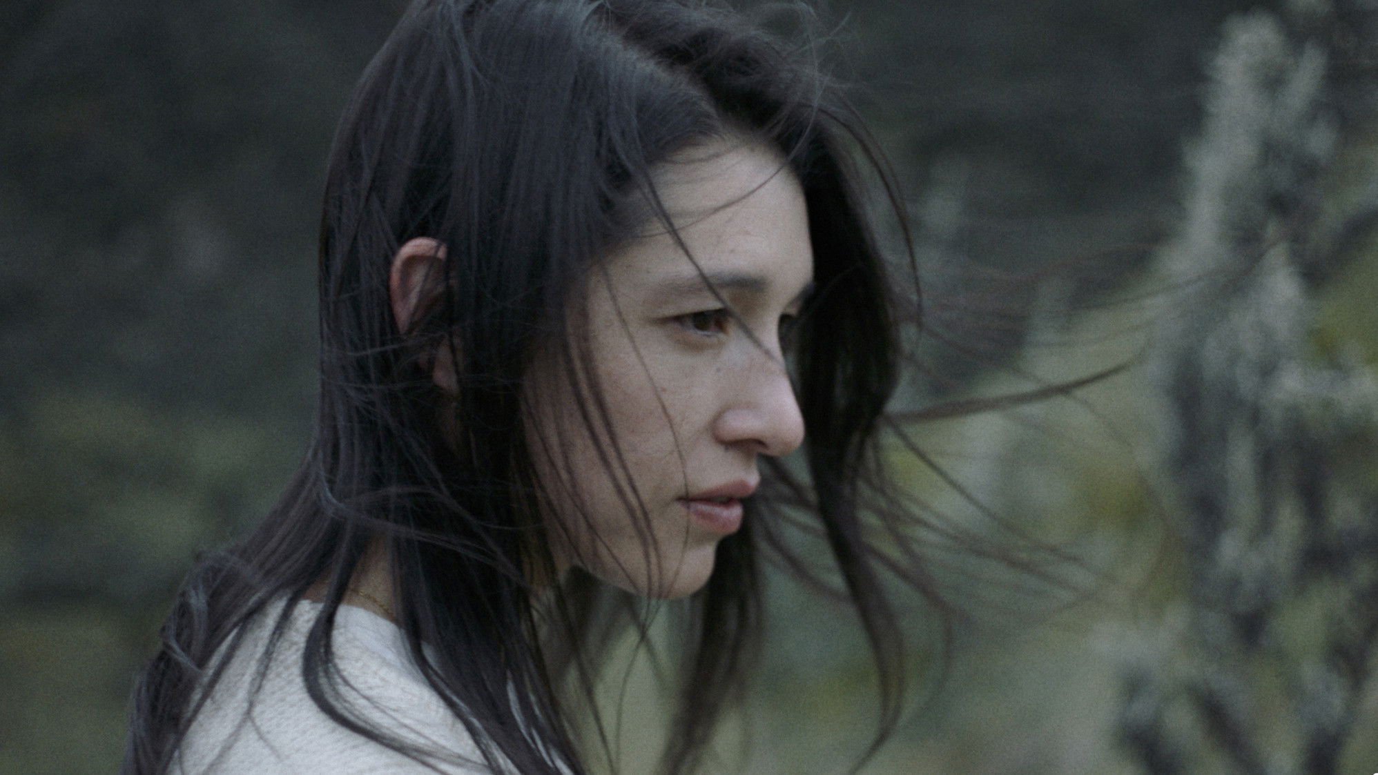 Backdrop for The Ivy