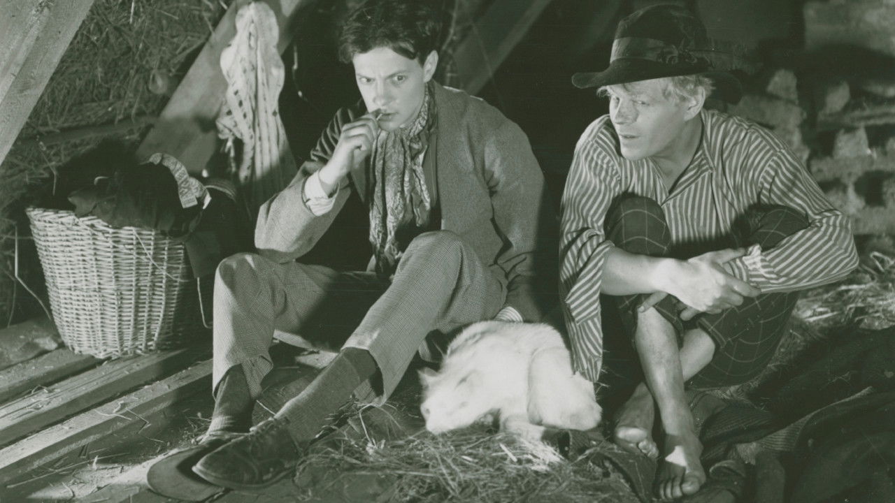 Backdrop for Bombi Bitt and Me