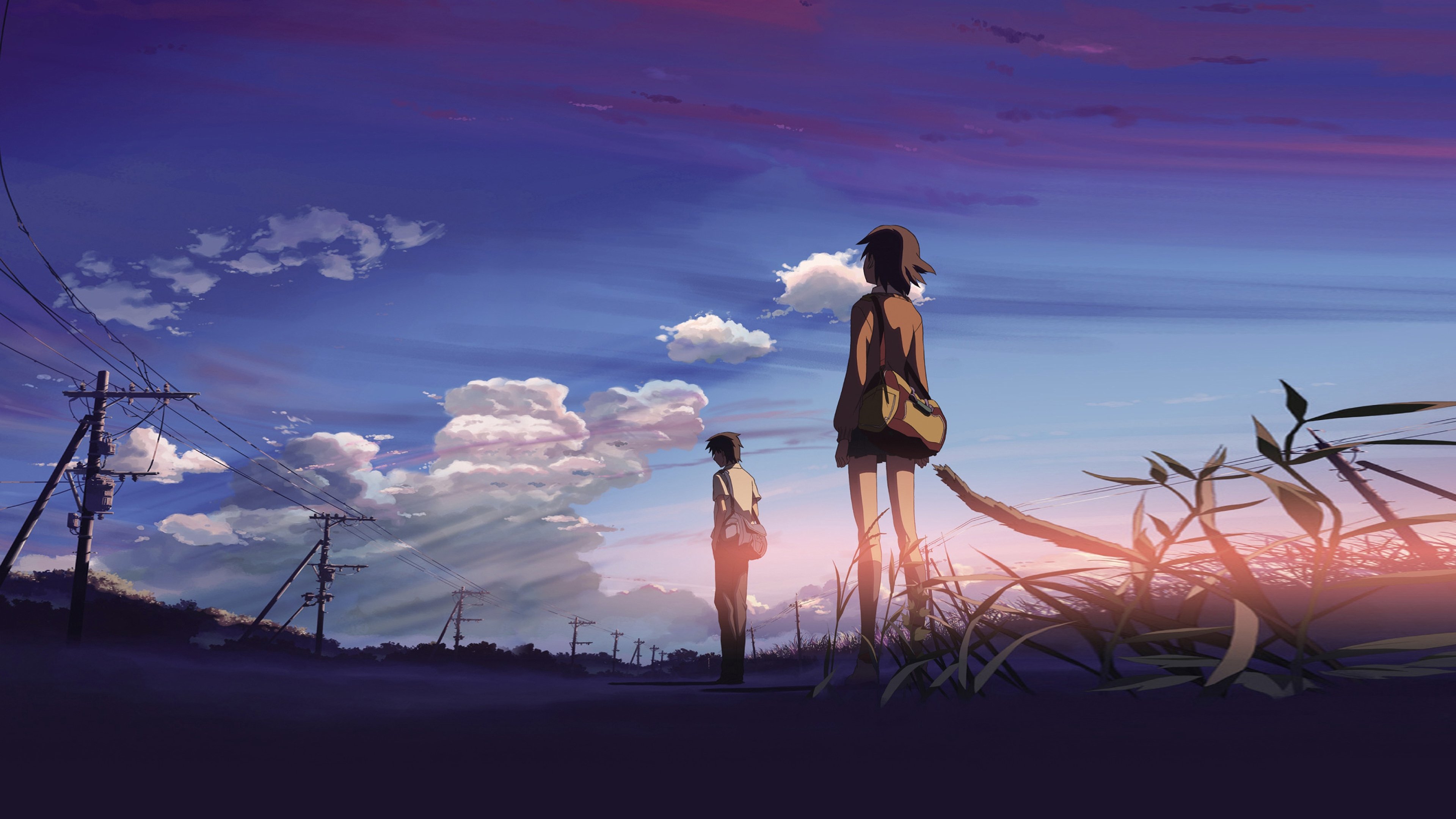 Backdrop for 5 Centimeters per Second